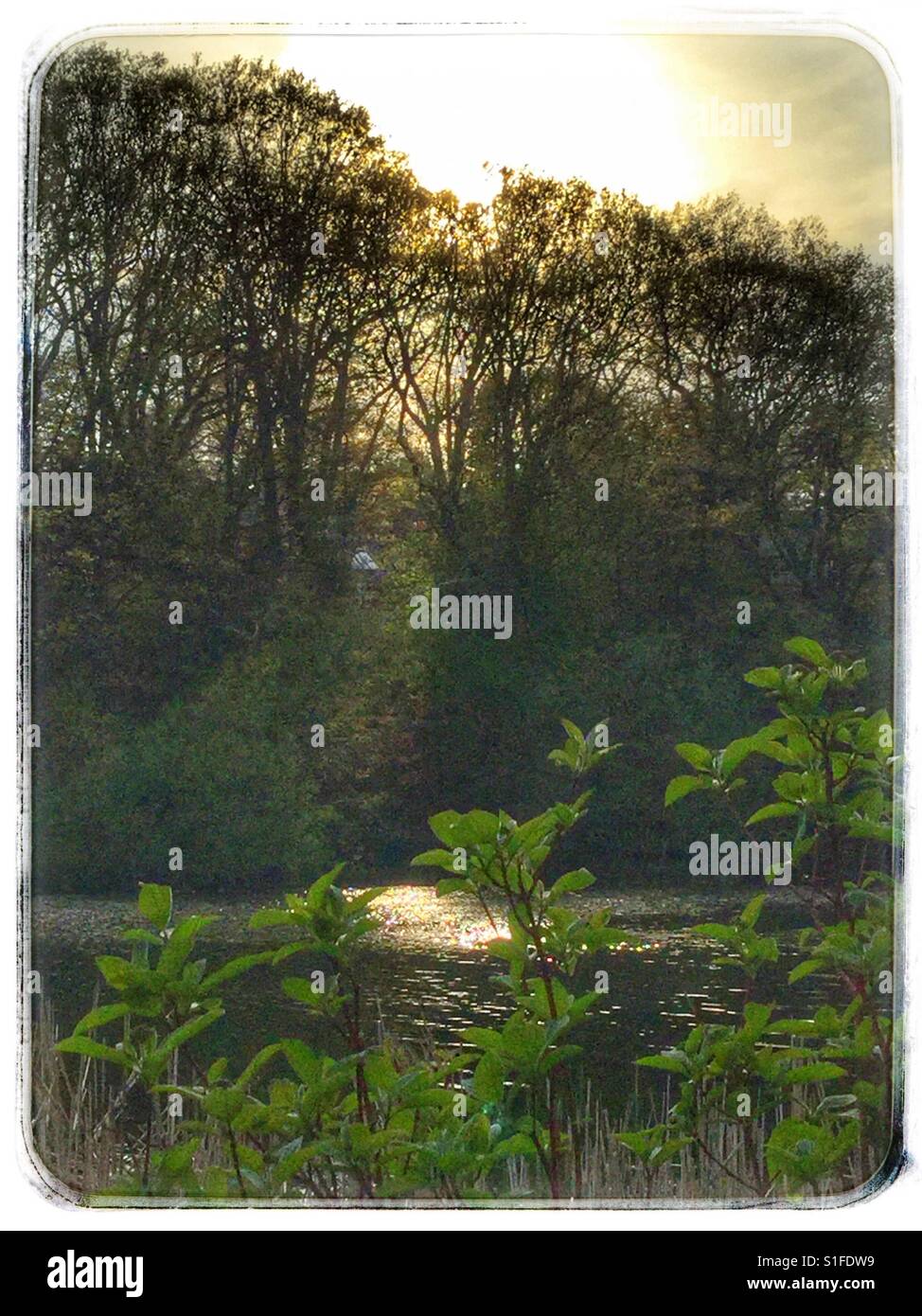 Evening glow as the sun sets. - Smartphone Captured Stock Image