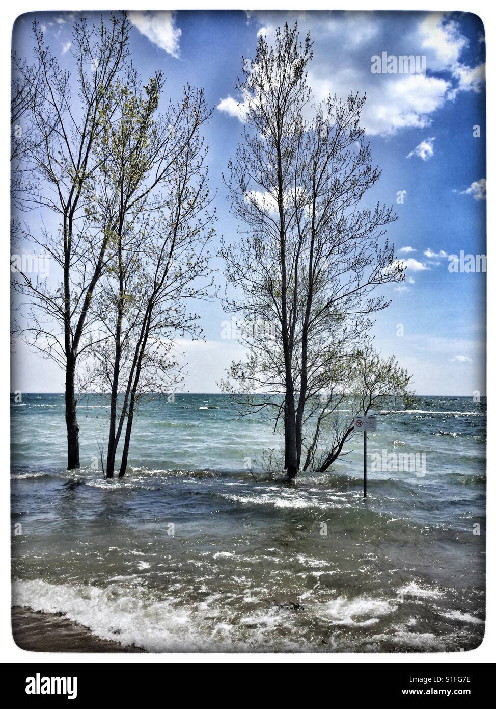 Submerged Trees High Resolution Stock Photography and Images - Alamy