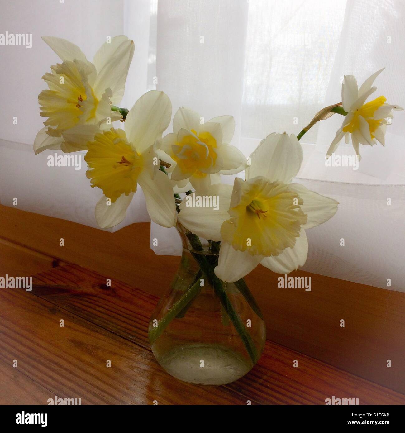 Mothers Day bouquet - Smartphone Captured Stock Image