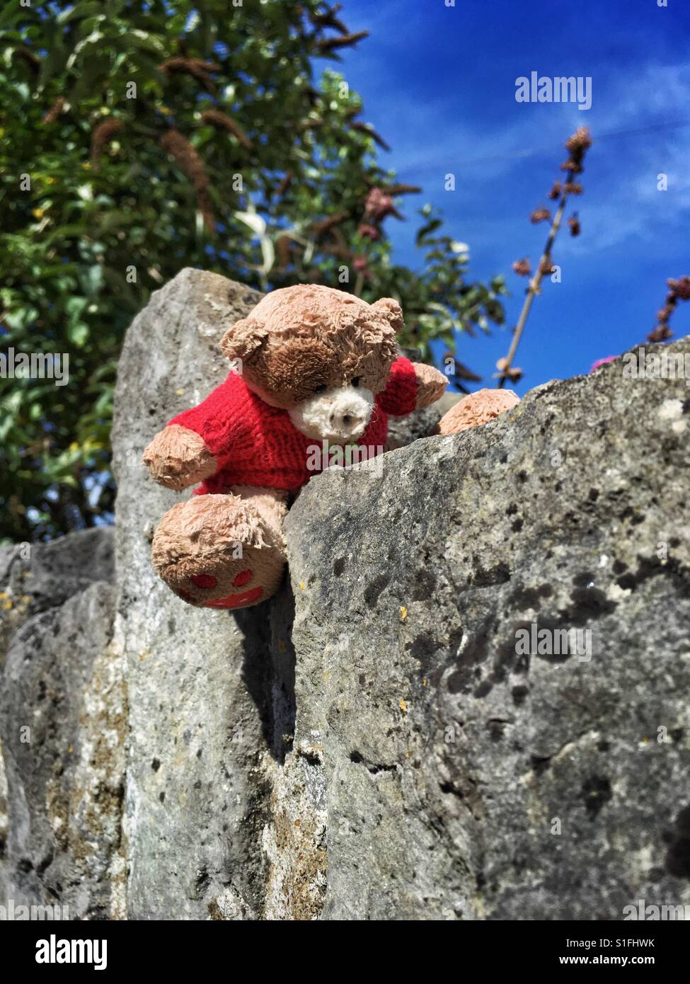 A teddy bear abandoned on a wall in a town in the UK - Smartphone Captured Stock Image