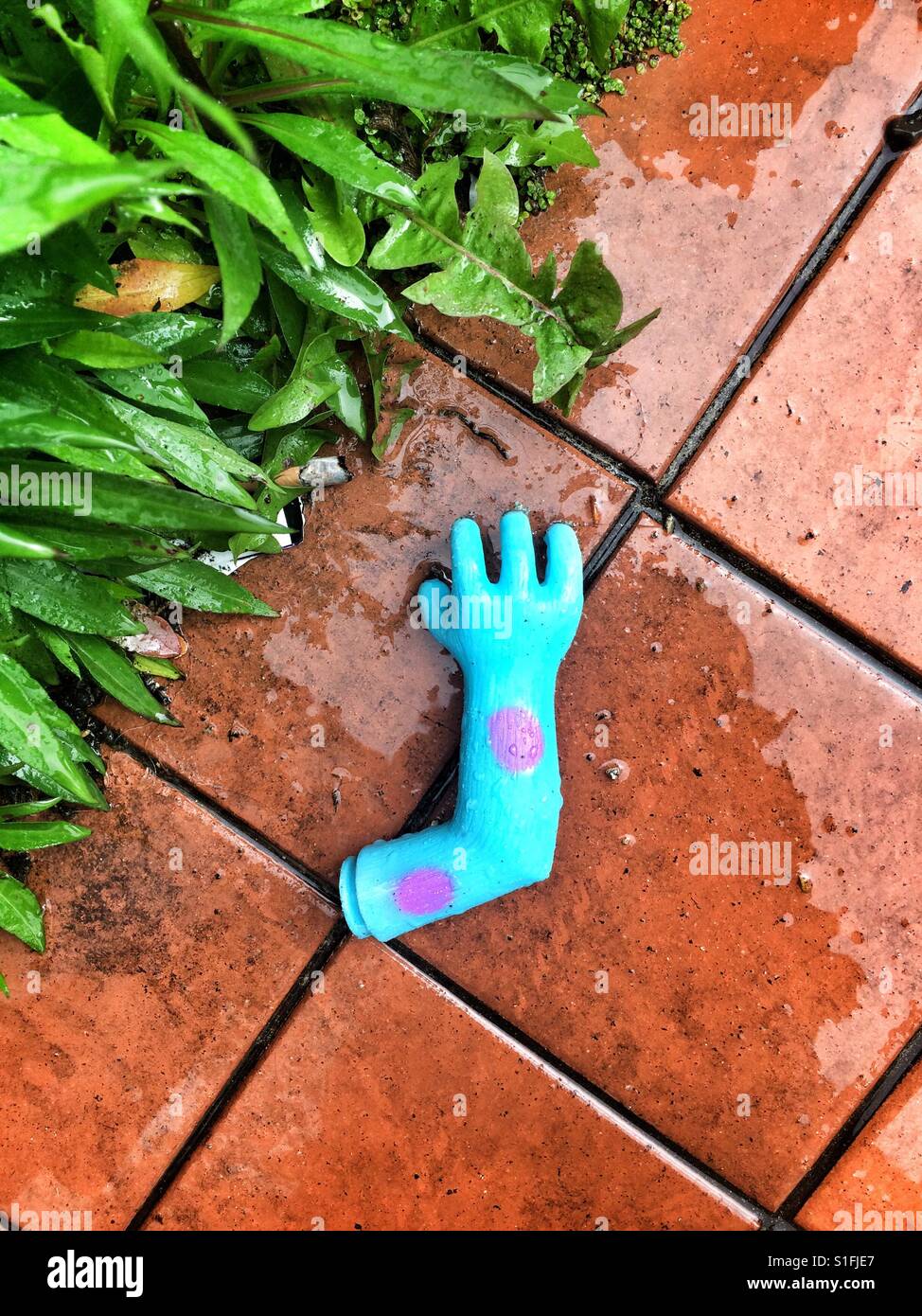 Disarmed - Smartphone Captured Stock Image