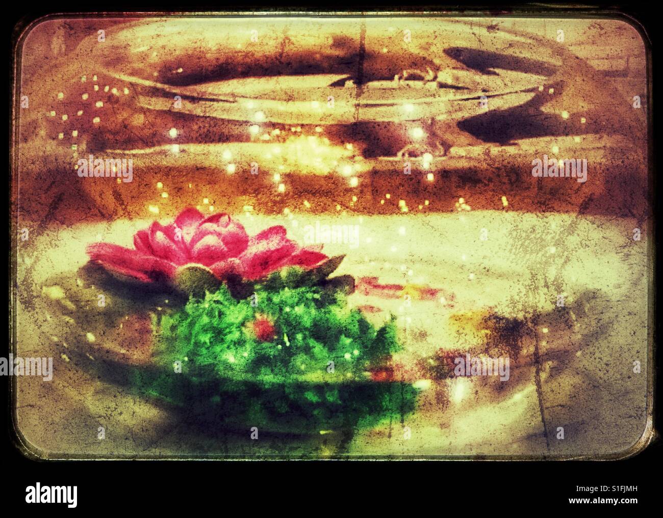 Glass centre piece. - Smartphone Captured Stock Image