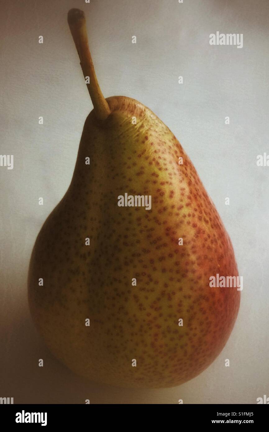 Blush pear - Smartphone Captured Stock Image