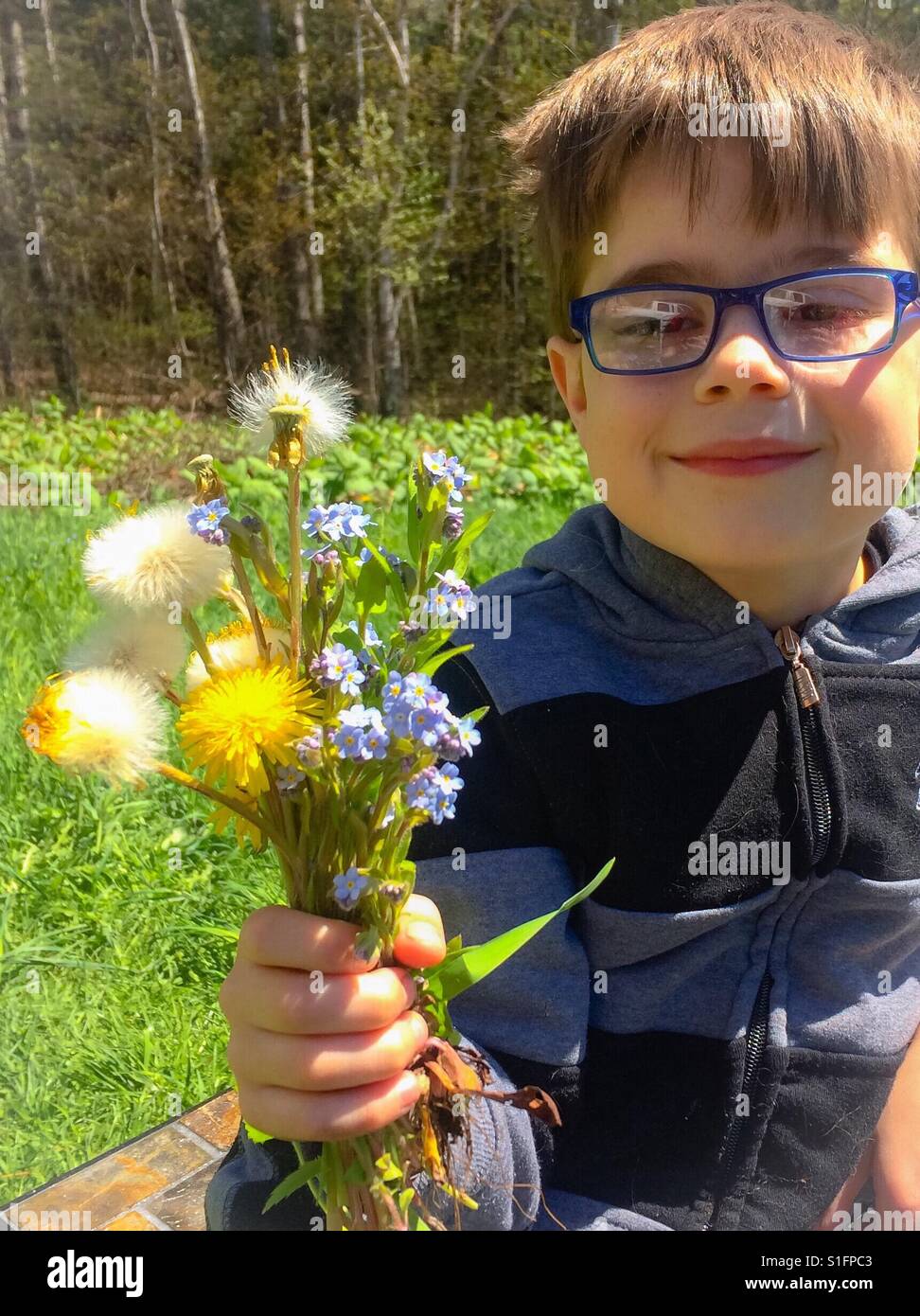 A 7 year old boy holds flowers that he picked for his mother. Where some might see weeds, he sees beautiful flowers. - Smartphone Captured Stock Image