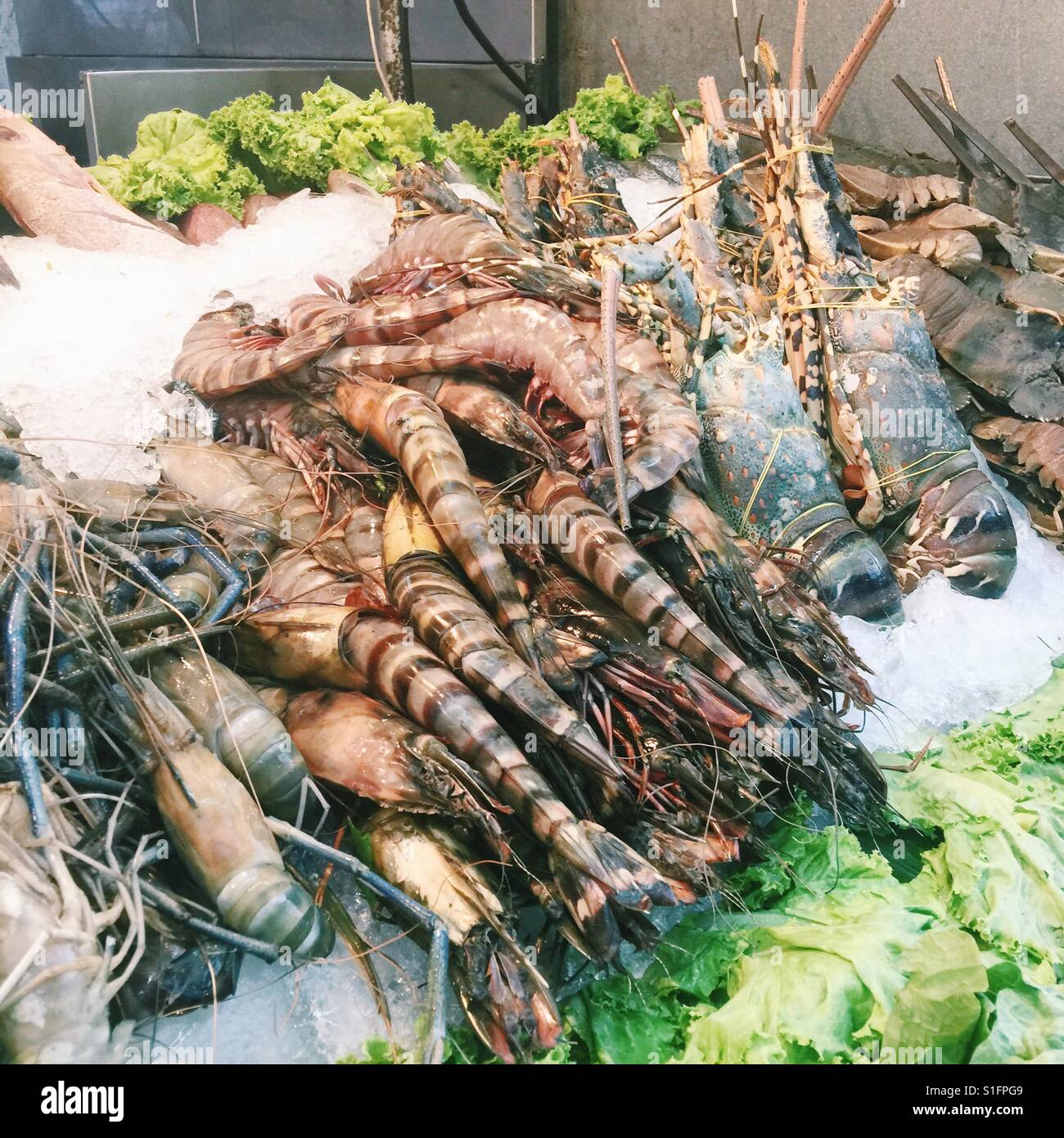 Live seafood deals