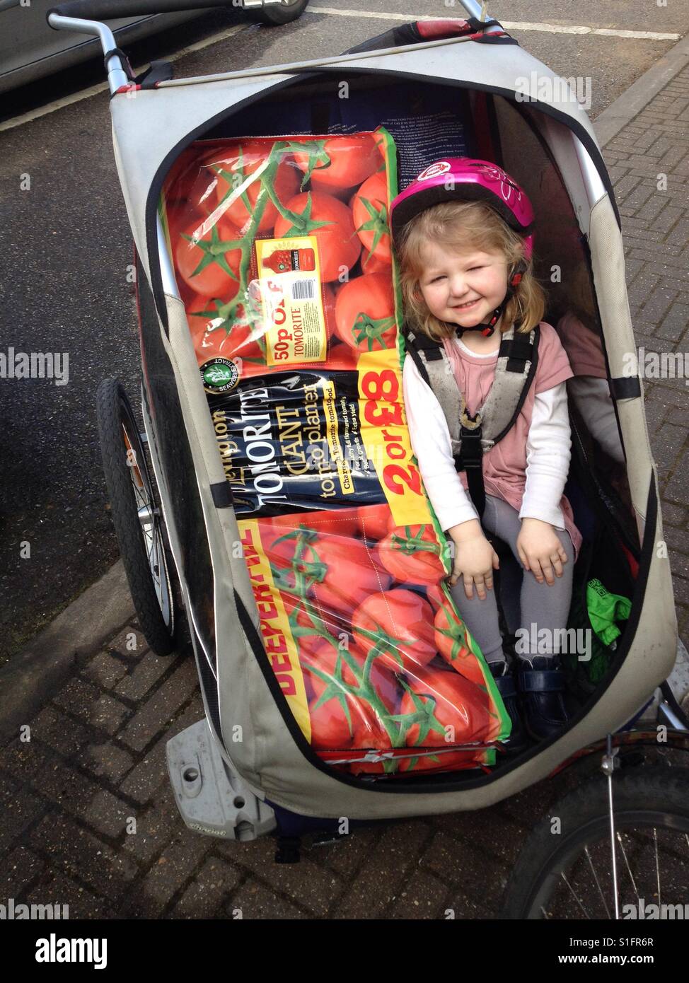 A young gardener shares her bicycle trailer with a large growbag of tomato compost soil. Stock Photo