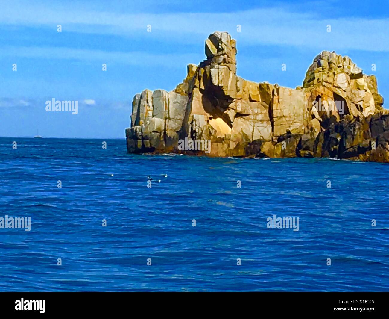 Rocks of channel island of Herm in the sea with three tiny puffins hardly visible swimming in the sea May 2017 - Smartphone Captured Stock Image