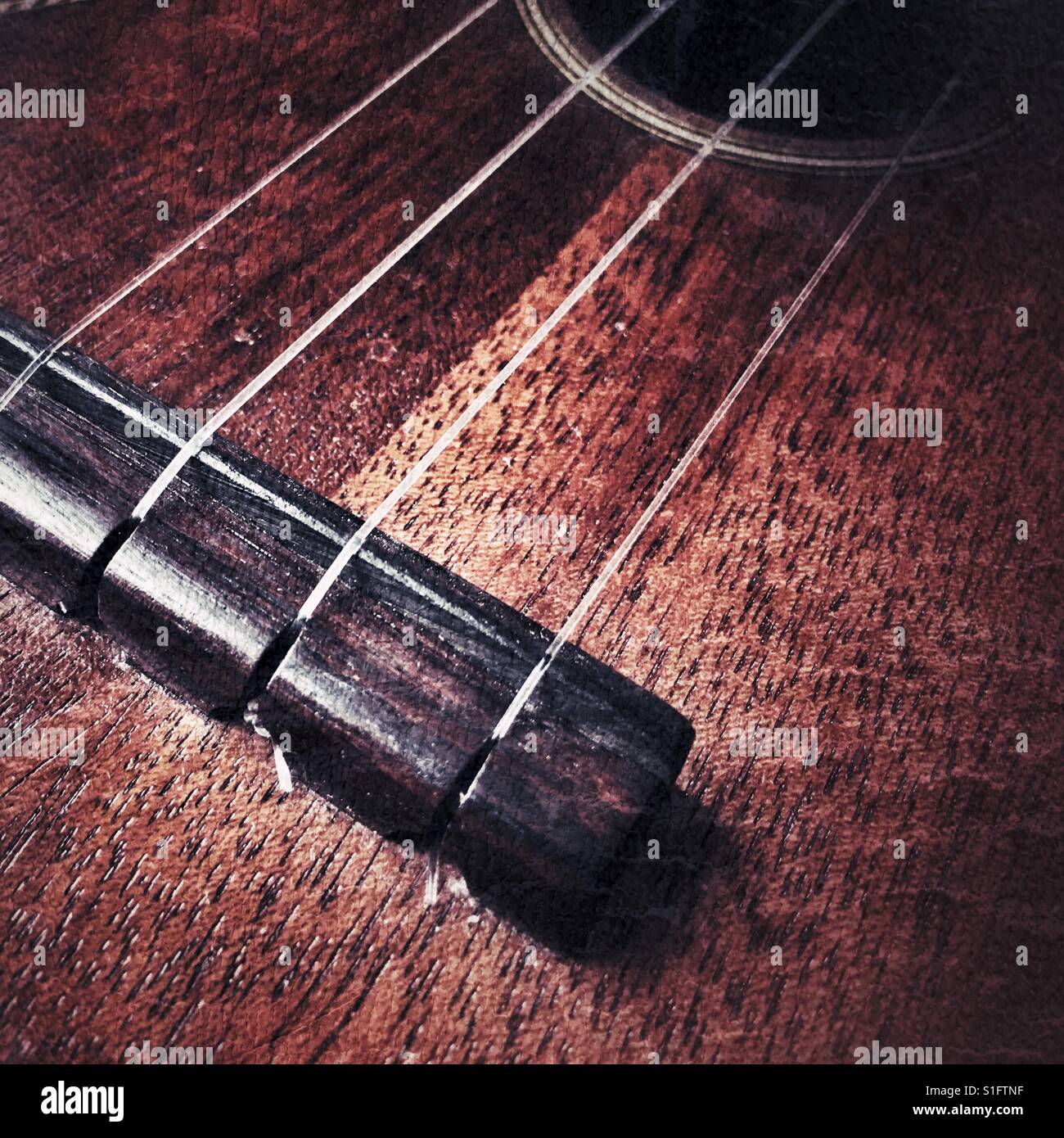 Ukulele, close up of bridge and strings - Smartphone Captured Stock Image