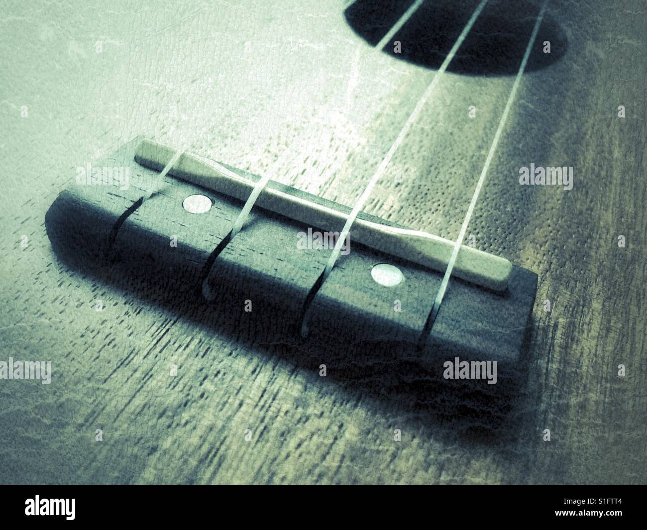 Ukulele, detailmof bridge and strings Stock Photo Alamy
