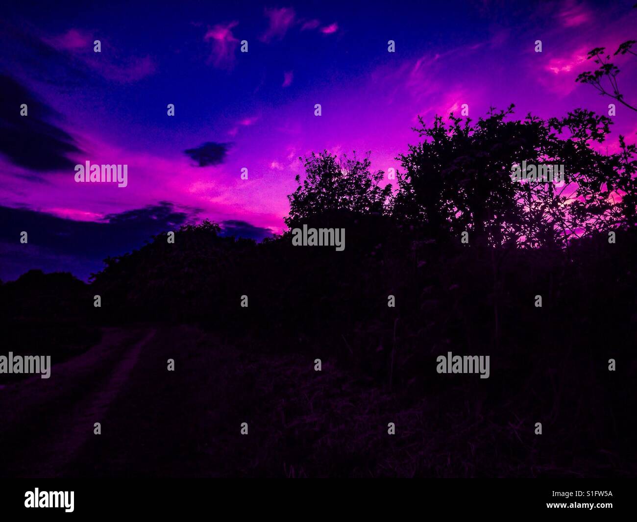 Purple Sky Stock Photo