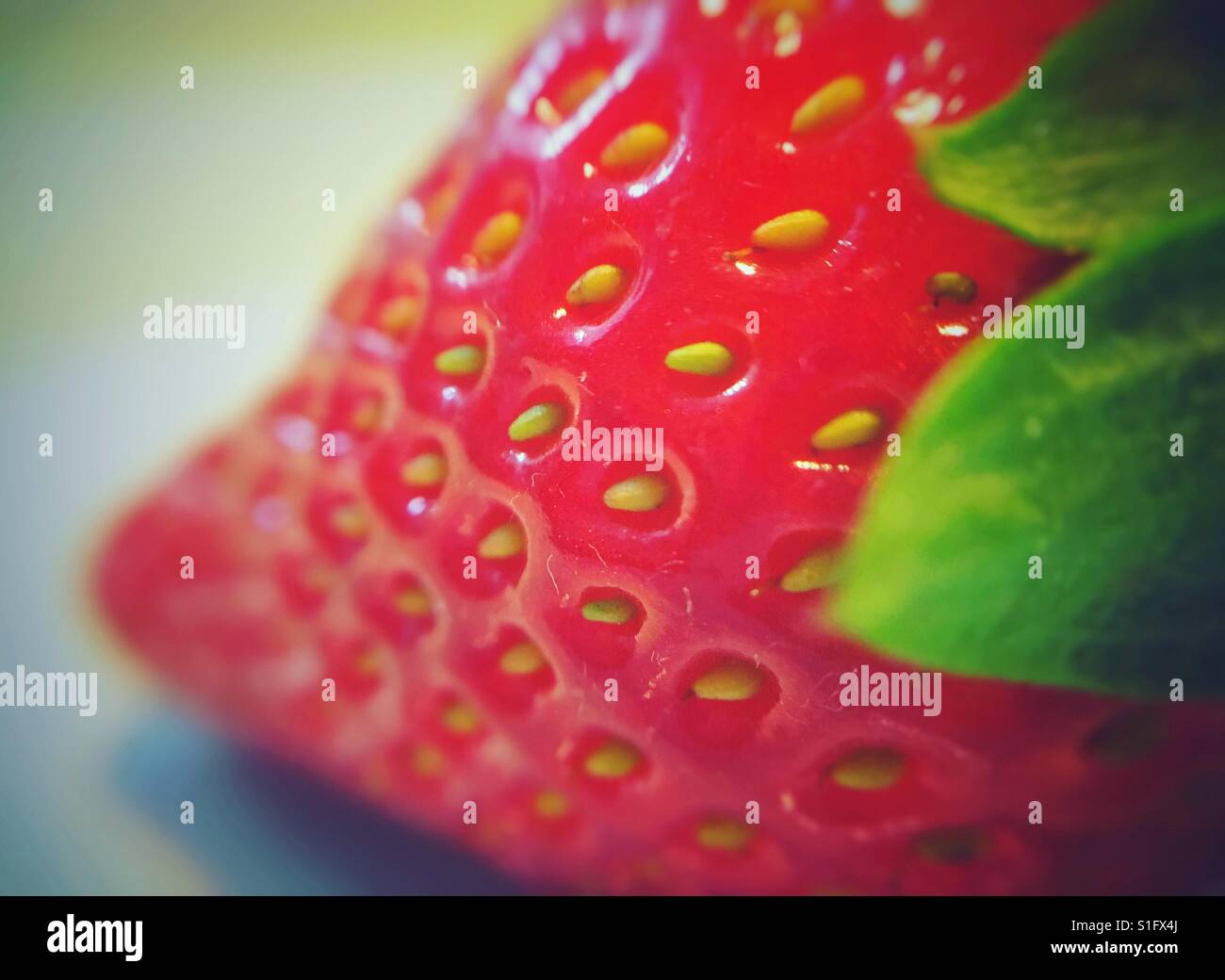 Closeup of an organic strawberry - Smartphone Captured Stock Image