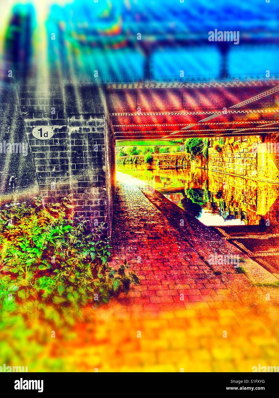 Towpath serenity - Smartphone Captured Stock Image