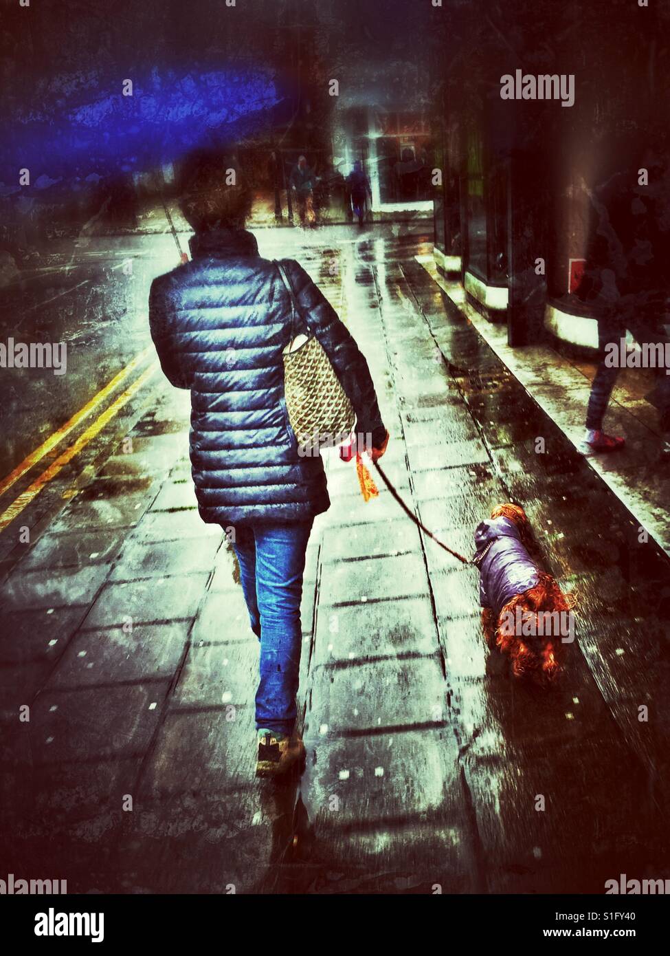 Dog walker in the rain - Smartphone Captured Stock Image