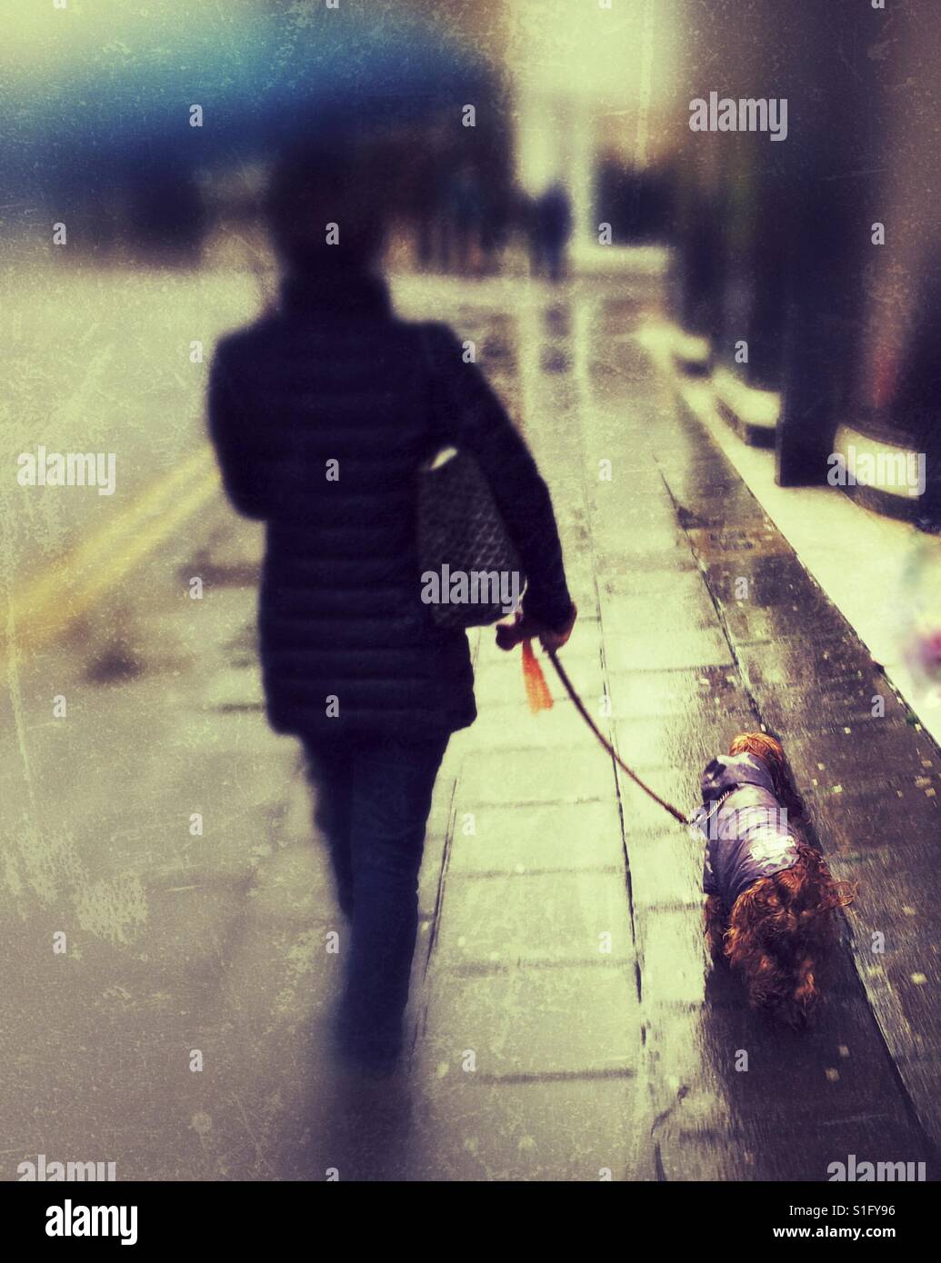 Lady walking her dog in the rain - Smartphone Captured Stock Image