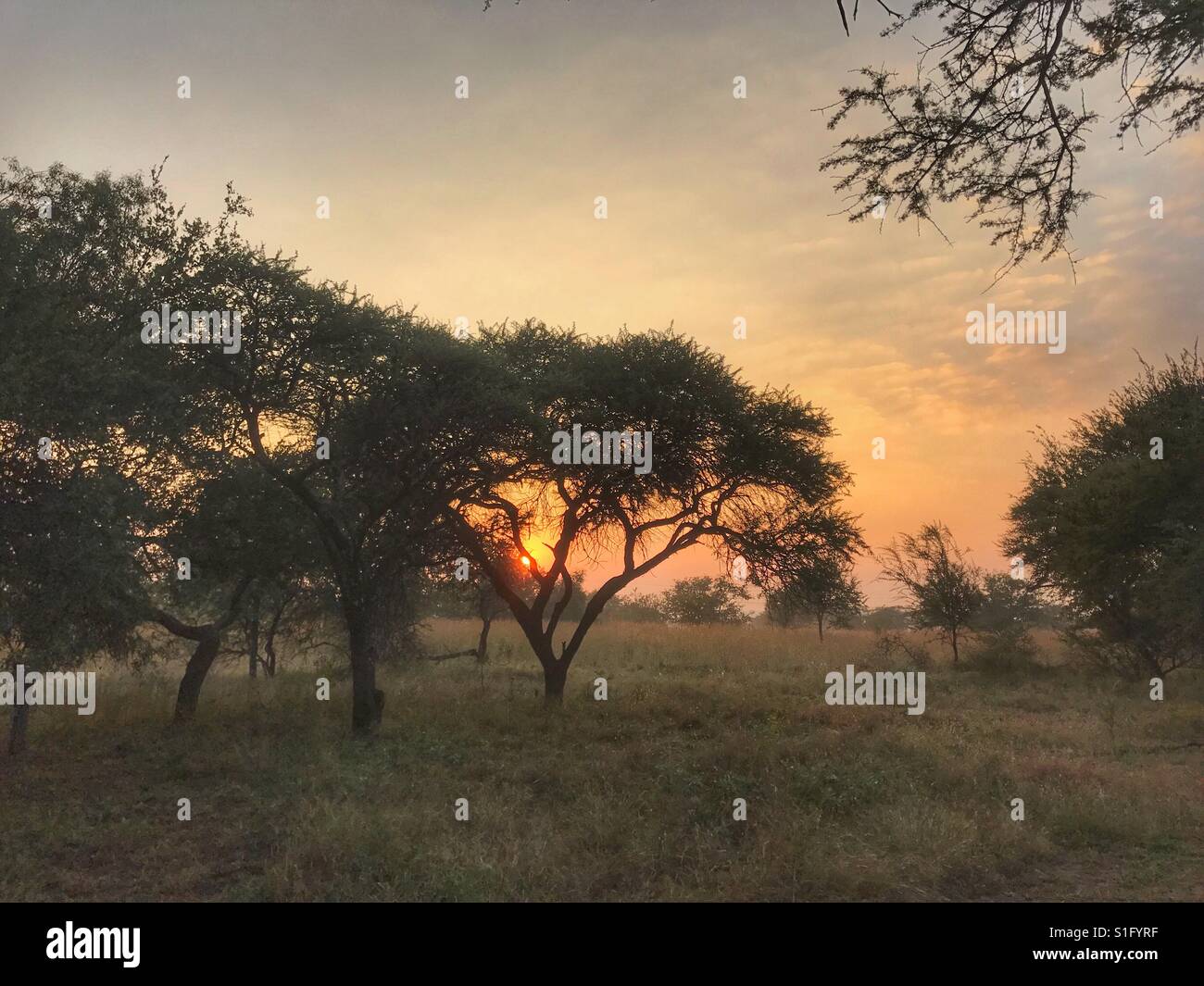 Africa sunrise - Smartphone Captured Stock Image