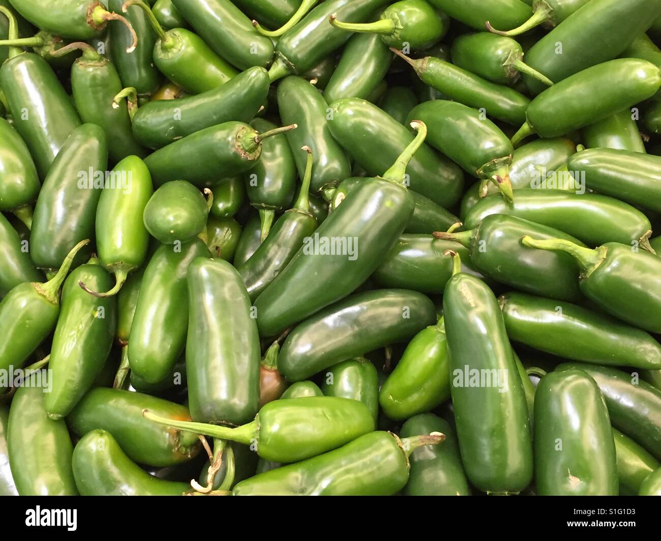 Green hot peppers Stock Photo Alamy