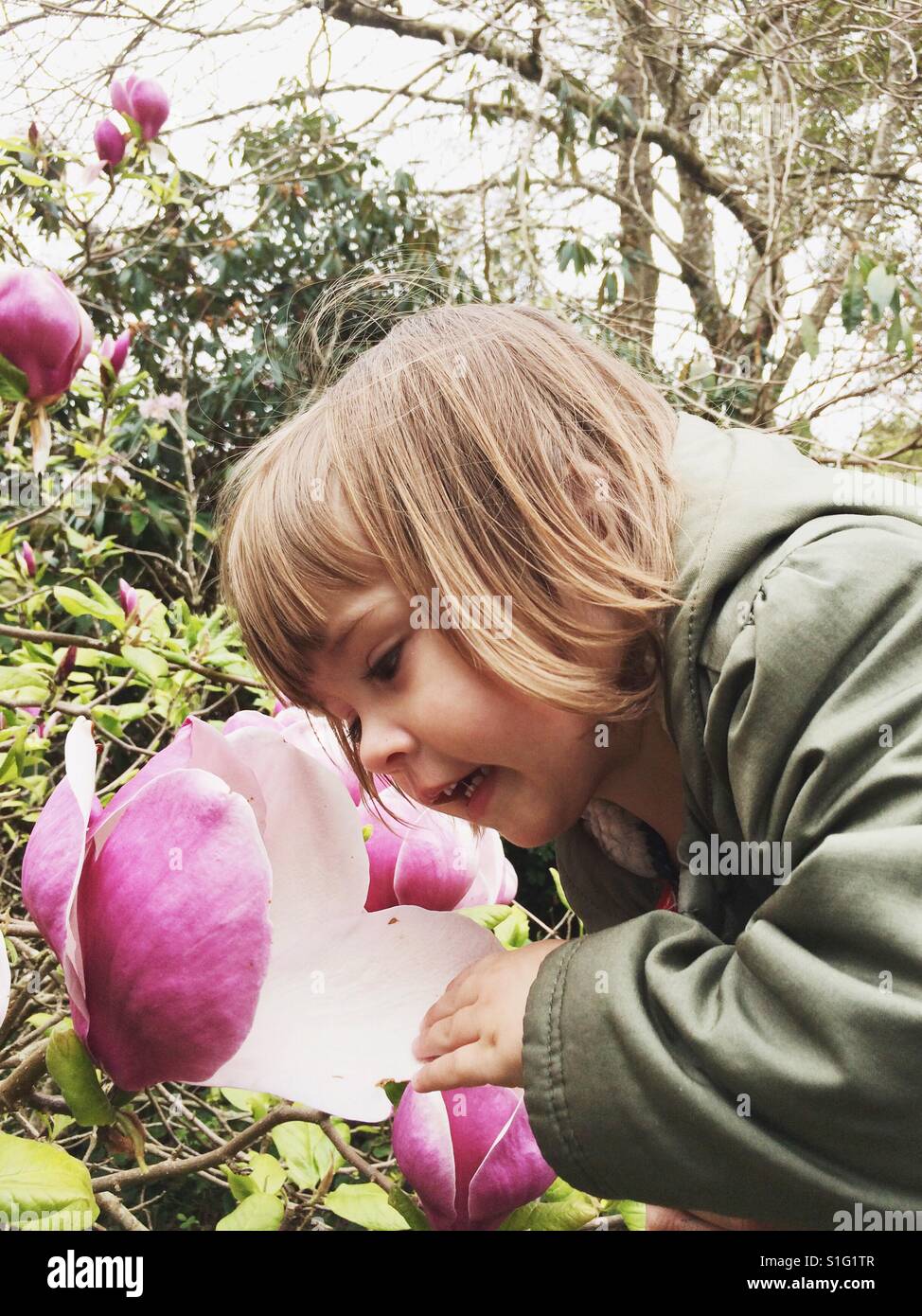 Little girl smelling a big flower Stock Photo
