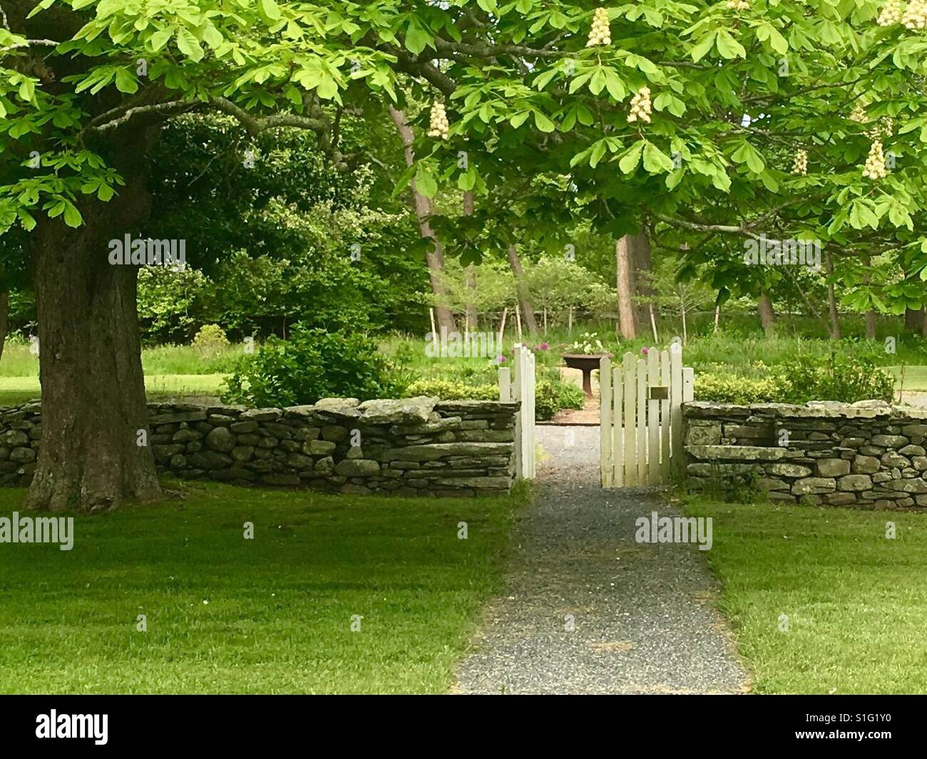 Spring garden - Smartphone Captured Stock Image