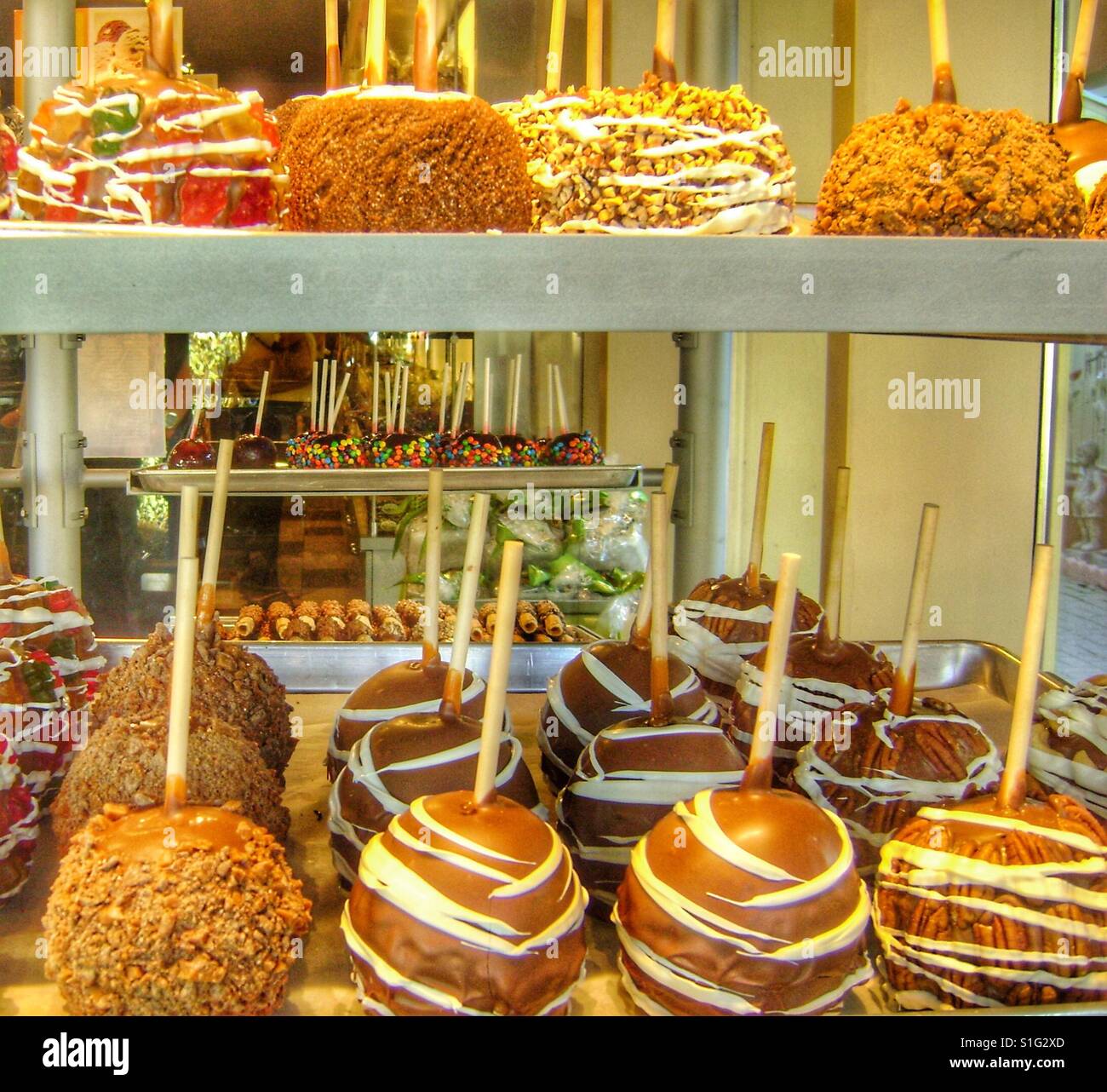 Rows of chocolate covered candy apples. - Smartphone Captured Stock Image