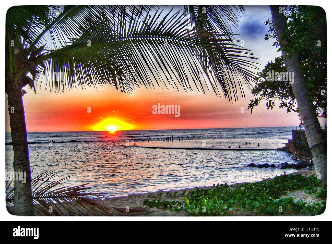 Palm trees and sunset in El Salvador. - Smartphone Captured Stock Image