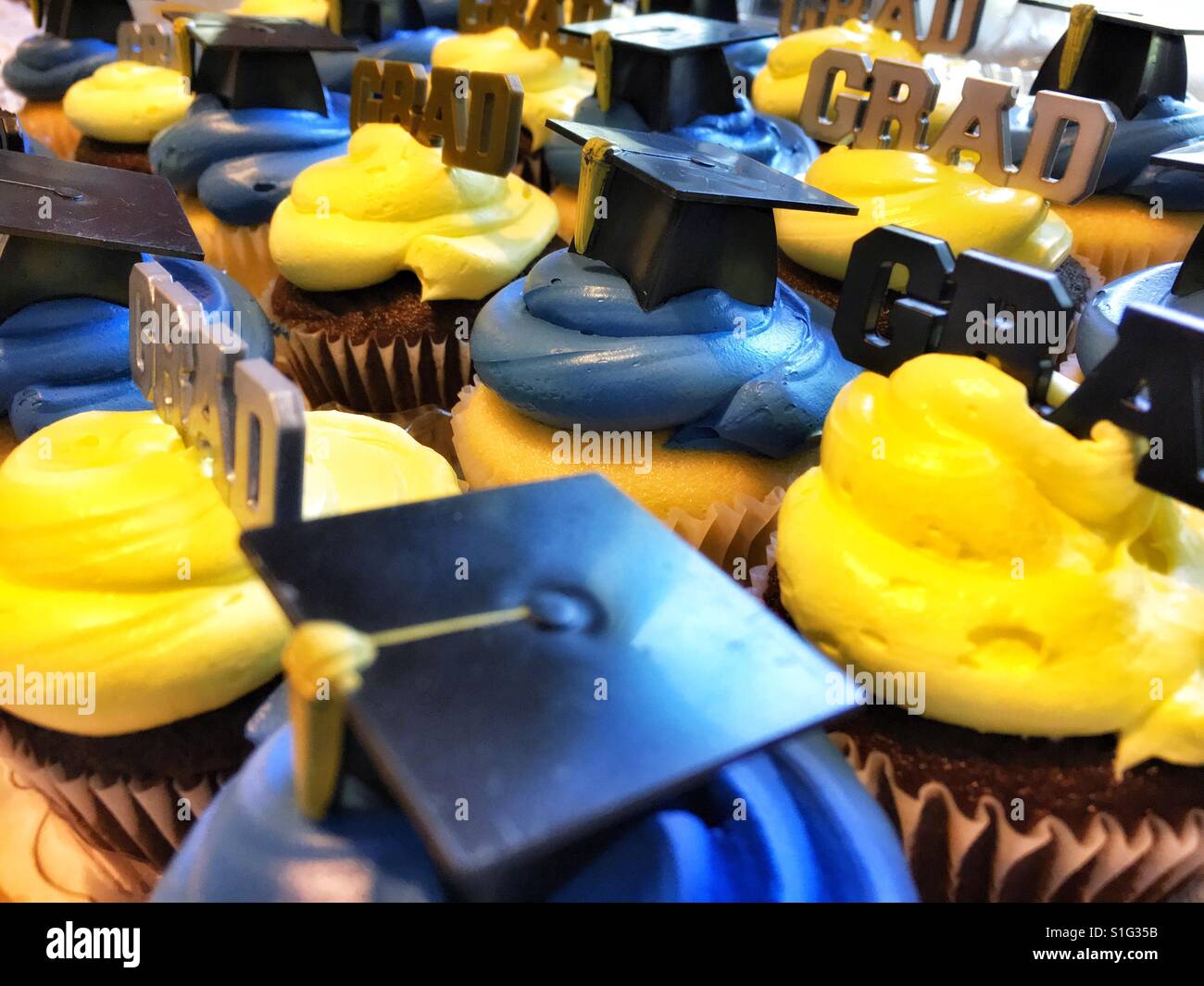 Graduation Cupcakes Stock Photo