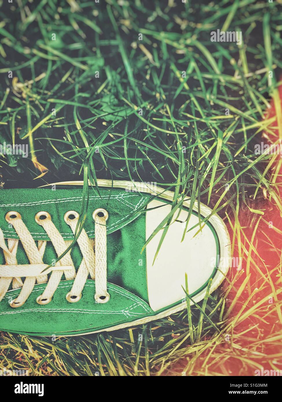 Walking on grass at sunset - Smartphone Captured Stock Image