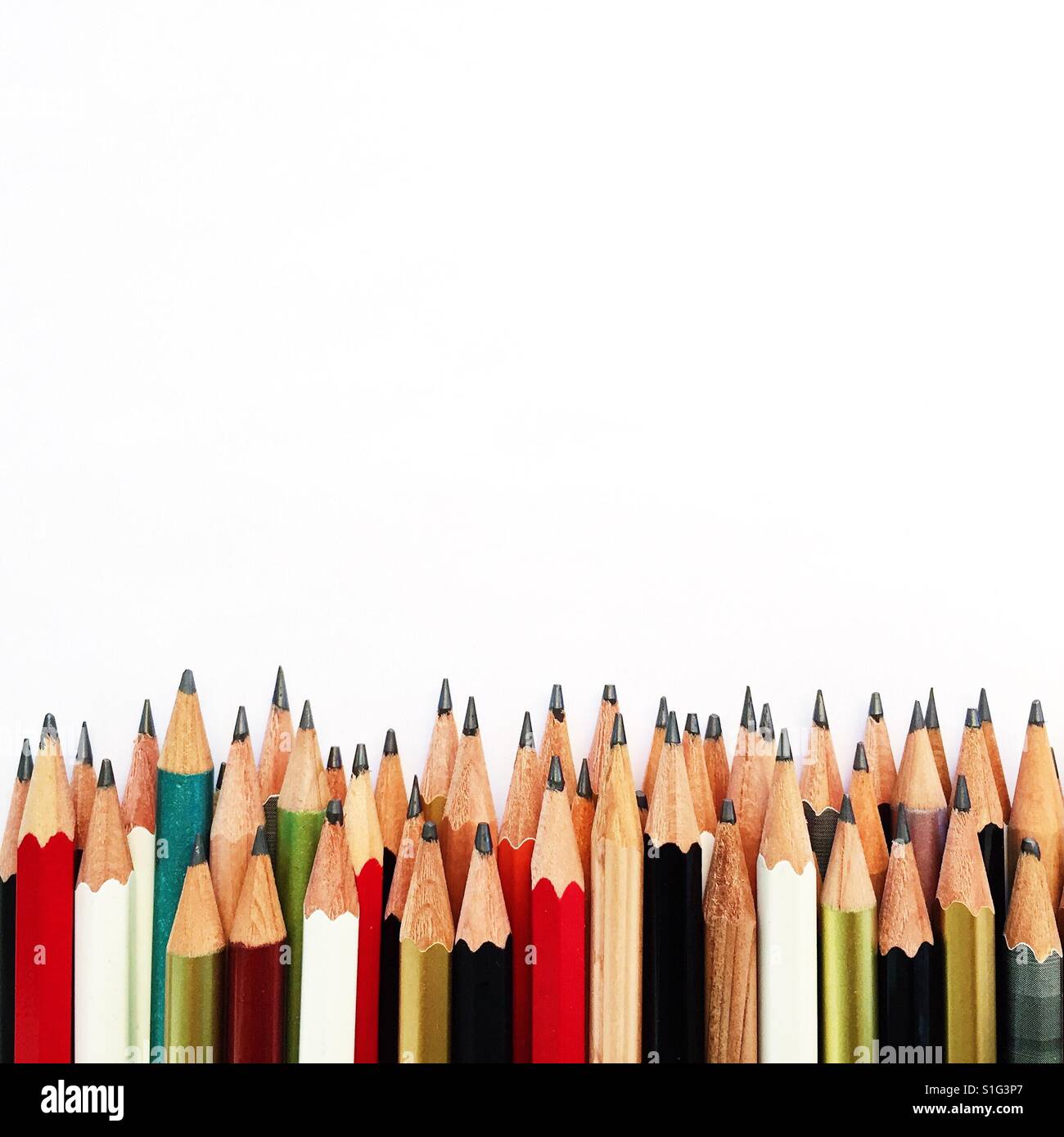 Overhead shot of many sharpened pencils lying atop blank white paper Stock Photo