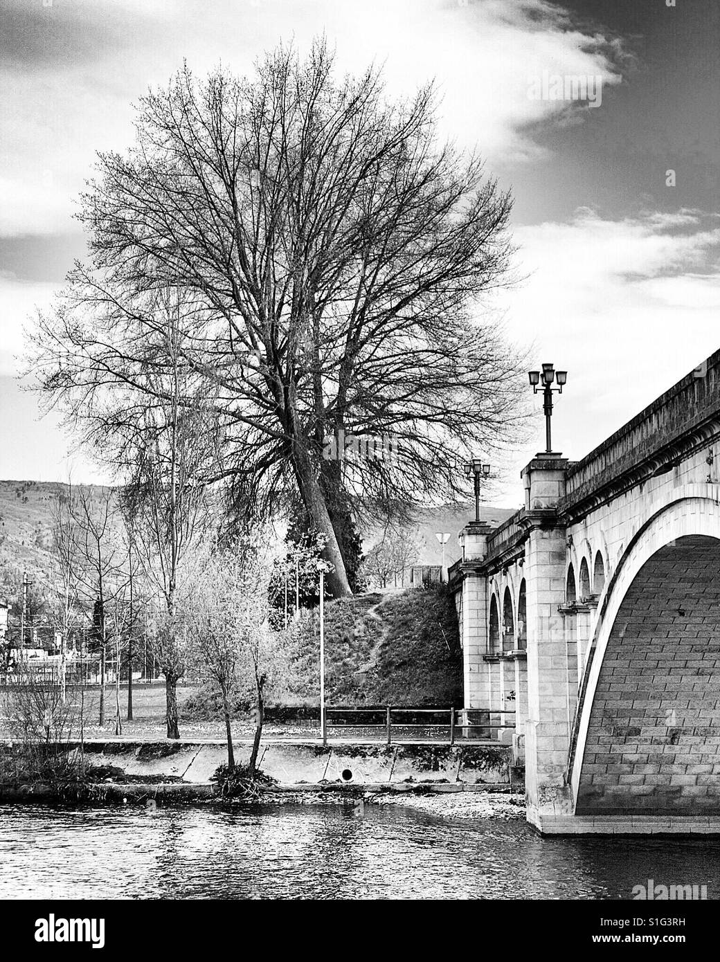 Black and white photo with tree near a bridge and a river in Chaves city, Portugal - Smartphone Captured Stock Image