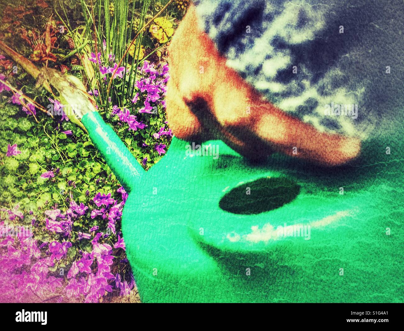 Man watering plants with a watering can - Smartphone Captured Stock Image