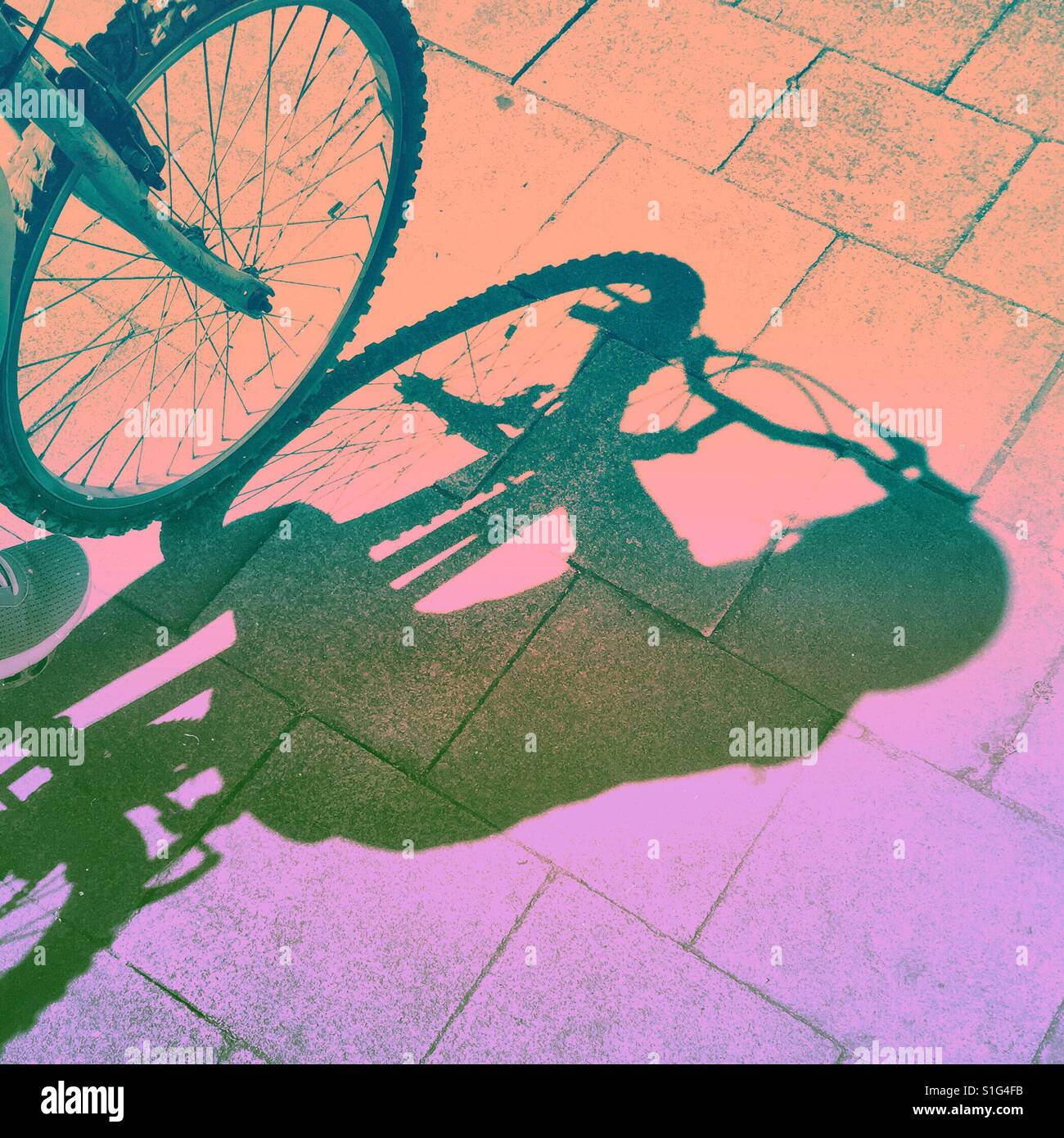 Cycling - Smartphone Captured Stock Image