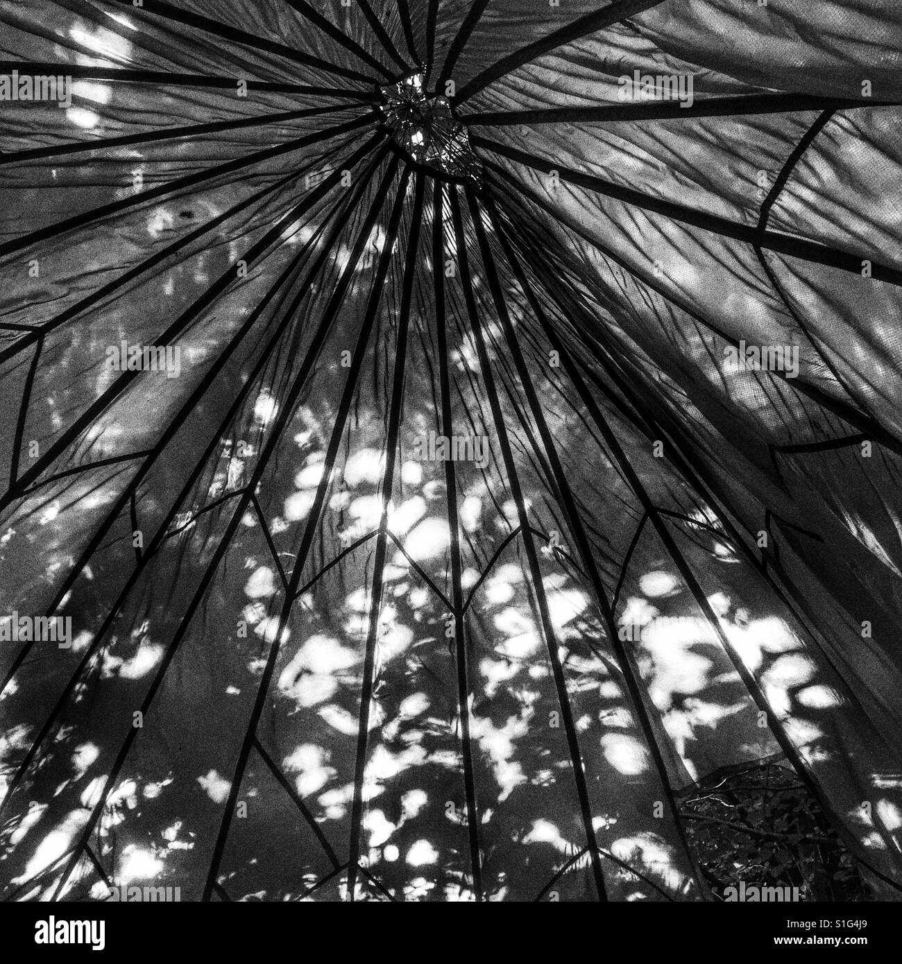 Silk parachute shadows and leaf silhouette Stock Photo Alamy