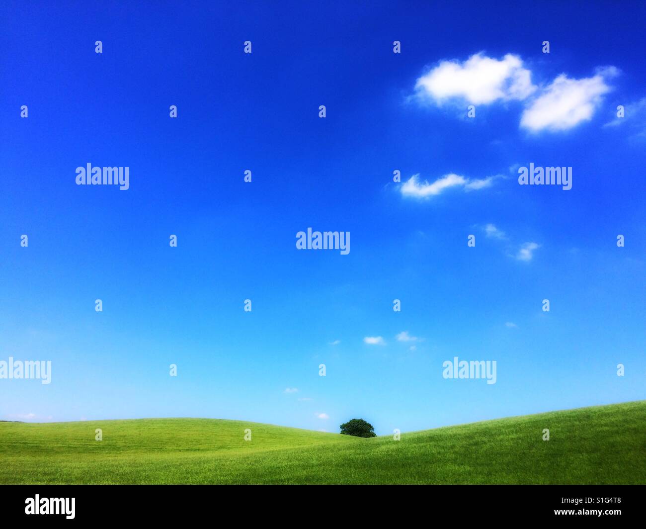 Field sky tree hi-res stock photography and images - Alamy