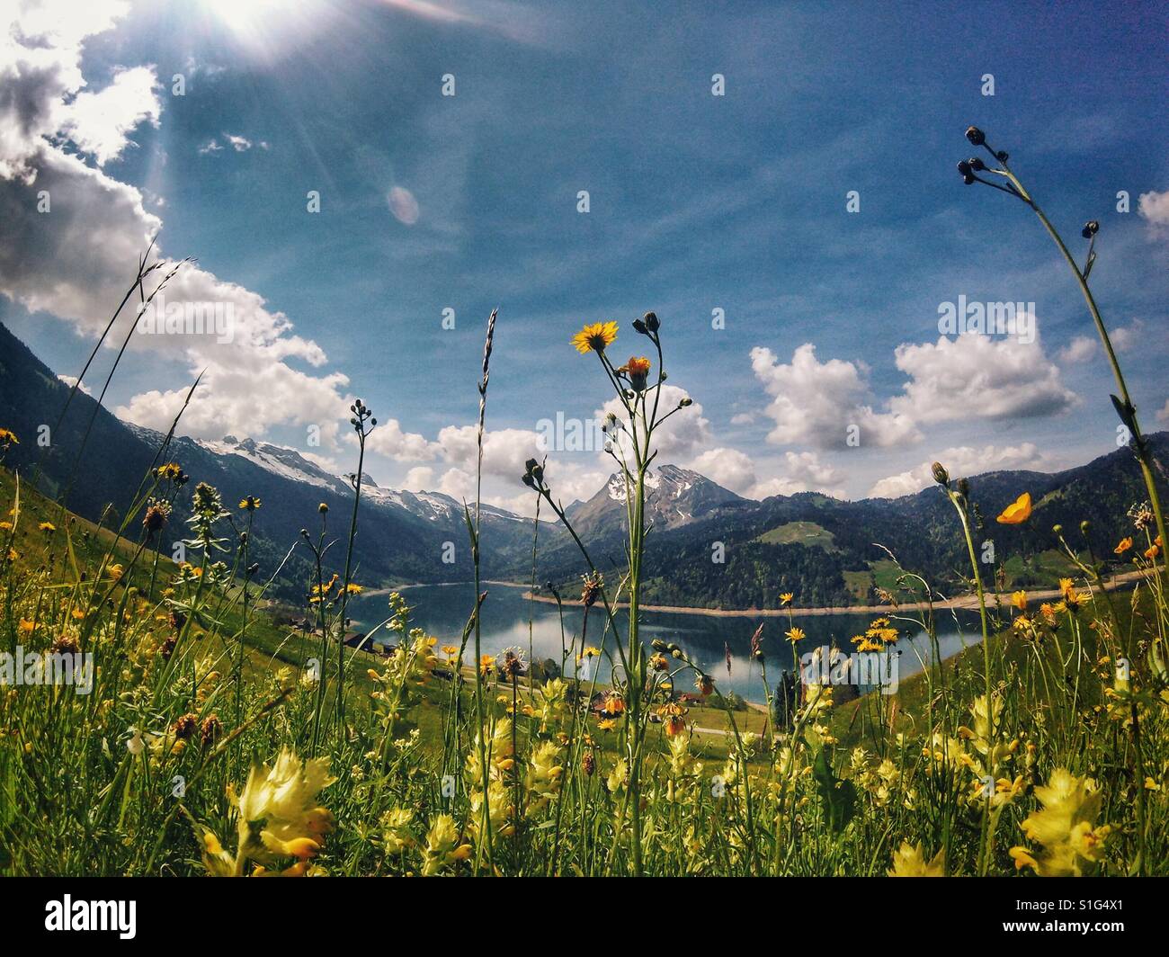 Swiss landscape Stock Photo