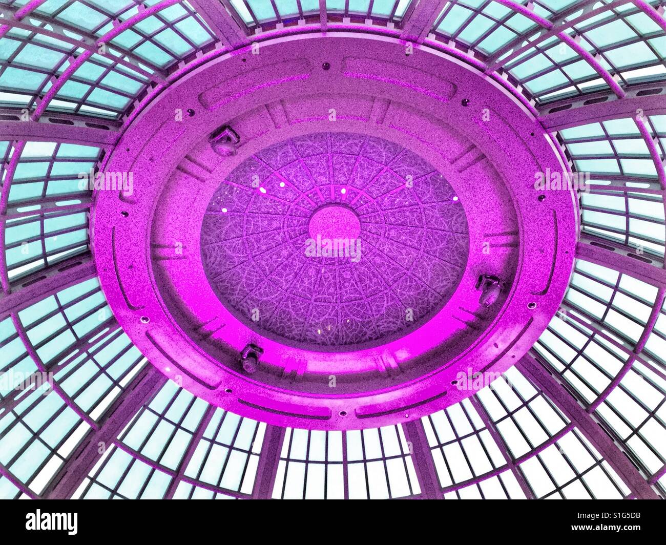 Fuchsia domed glass ceiling Stock Photo Alamy