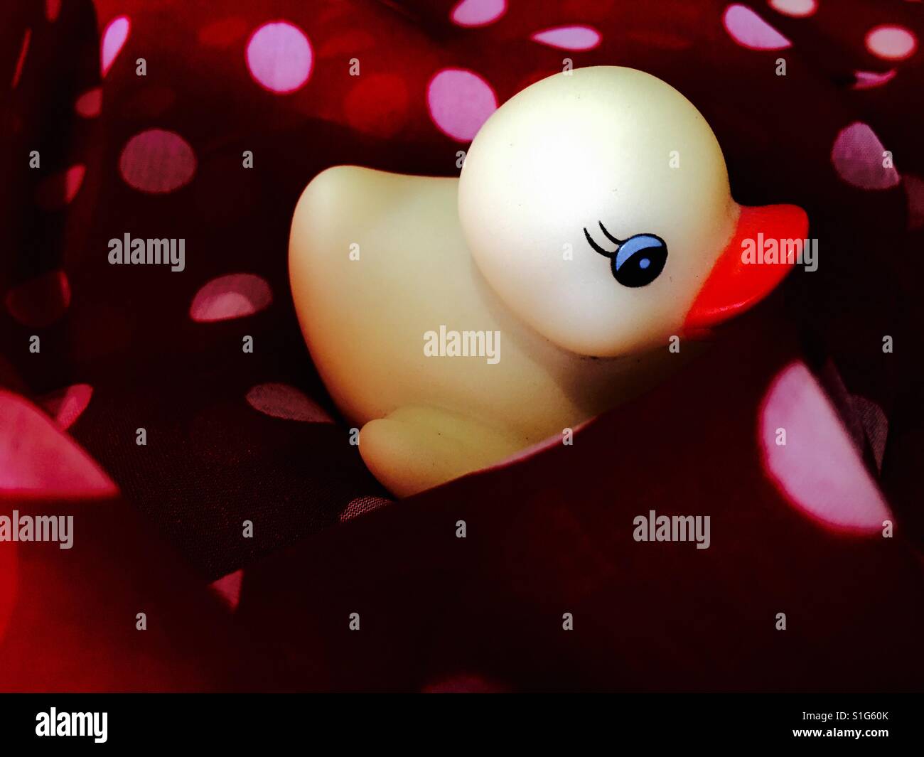 Rubber duck on polka dot background - Smartphone Captured Stock Image