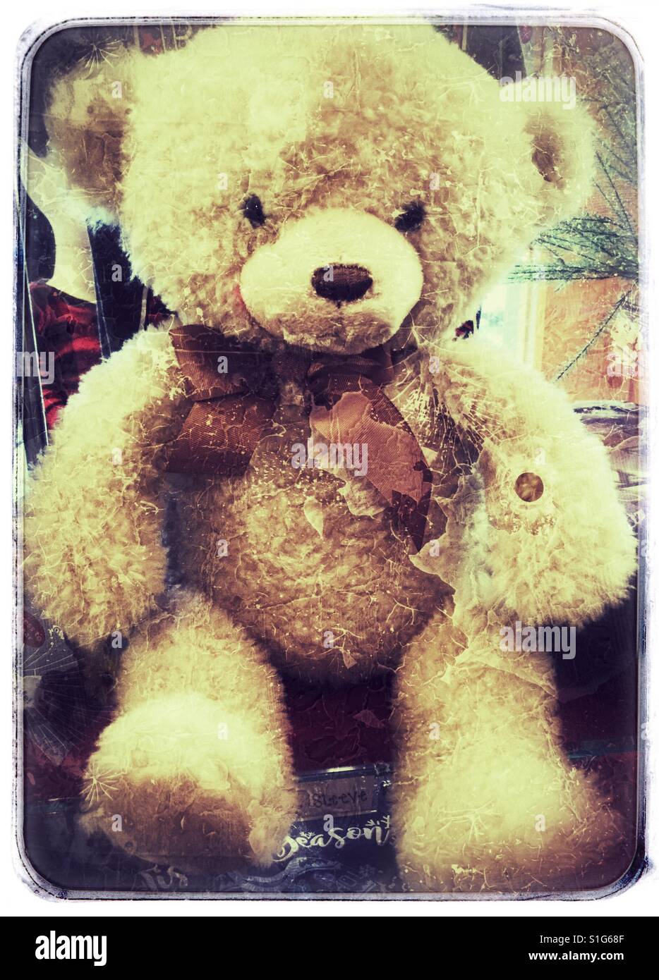 Plush Teddy Bear. - Smartphone Captured Stock Image