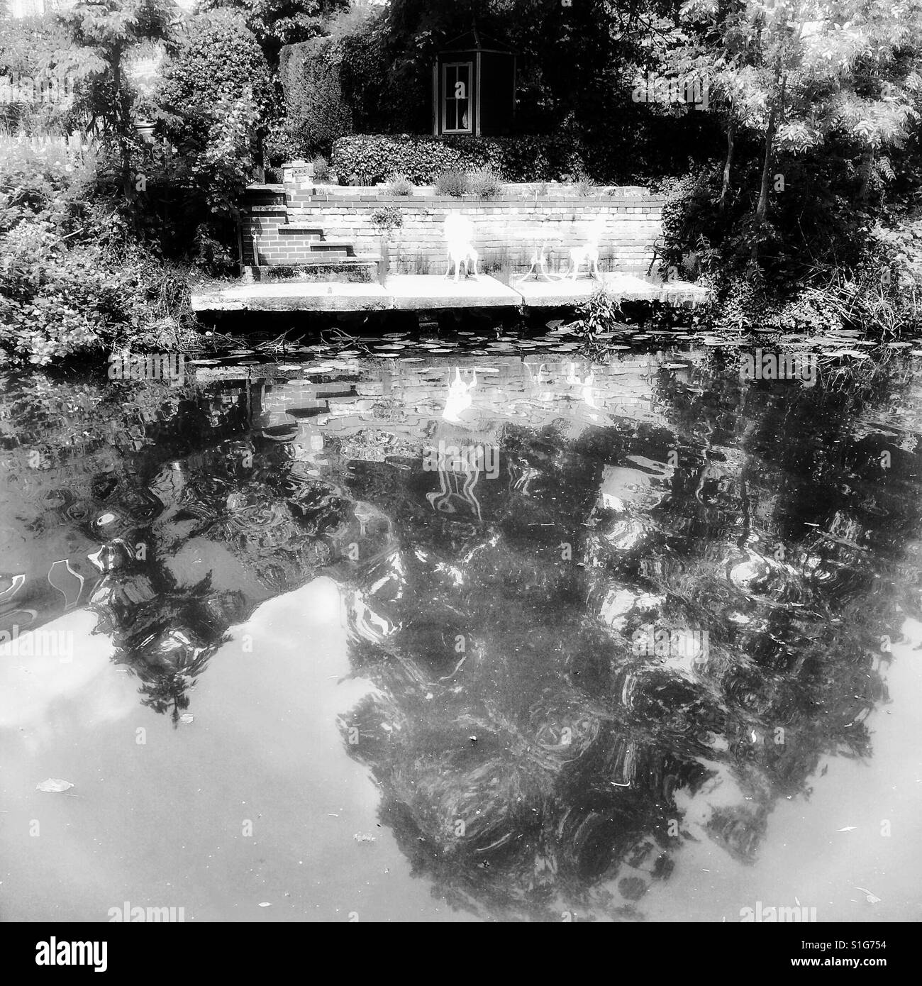 Waterfront Serenity and escapism - Smartphone Captured Stock Image