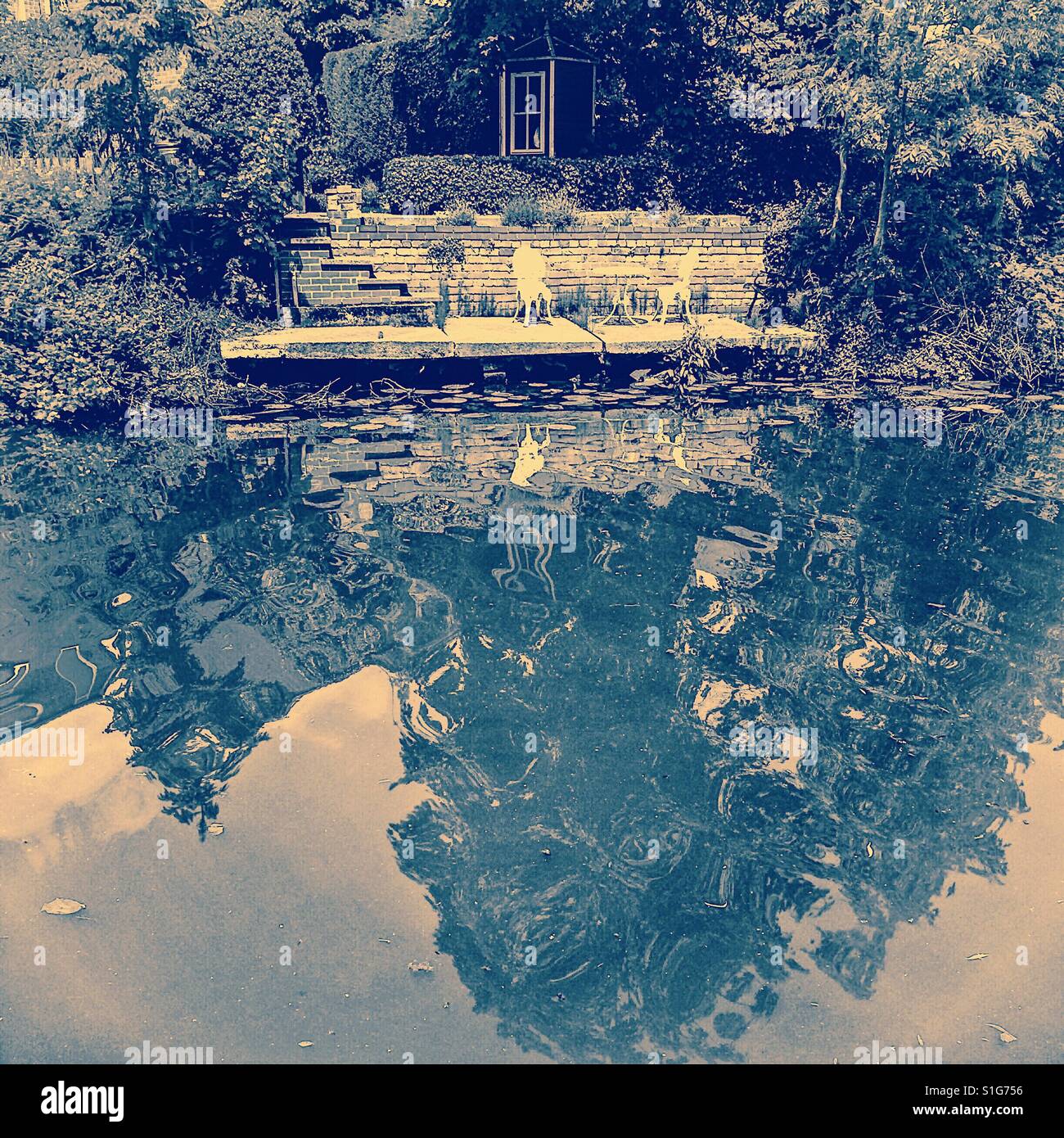 Chairs and table by water amongst nature - Smartphone Captured Stock Image