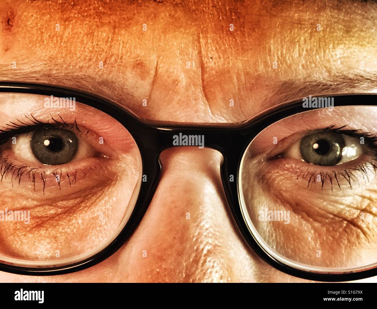 Eye Eye - Smartphone Captured Stock Image