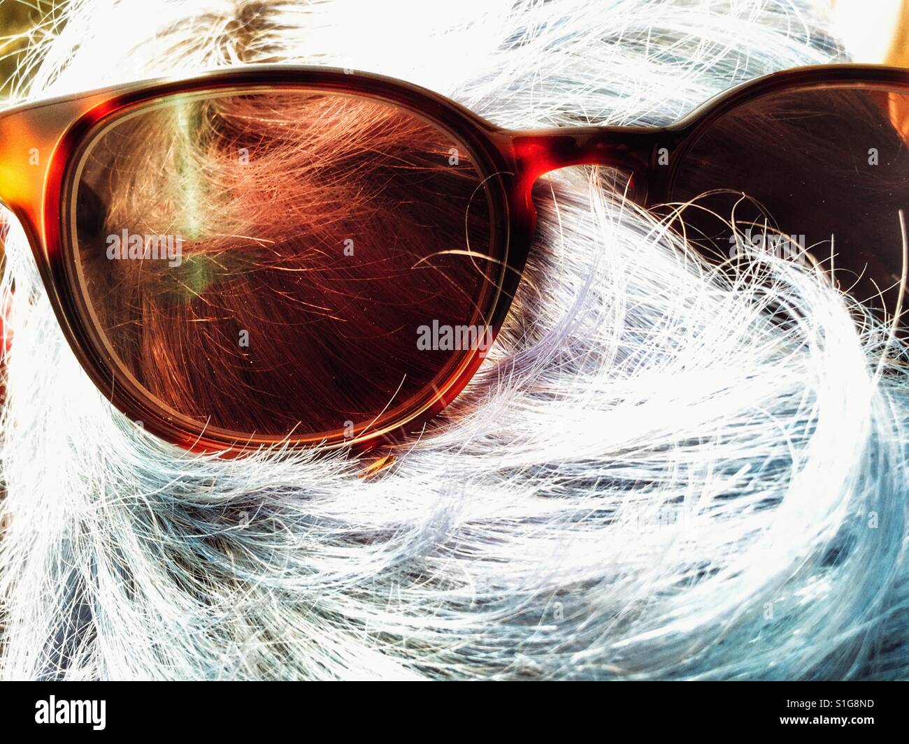 Prescription sunglasses on top of grey haired woman's head - Smartphone Captured Stock Image