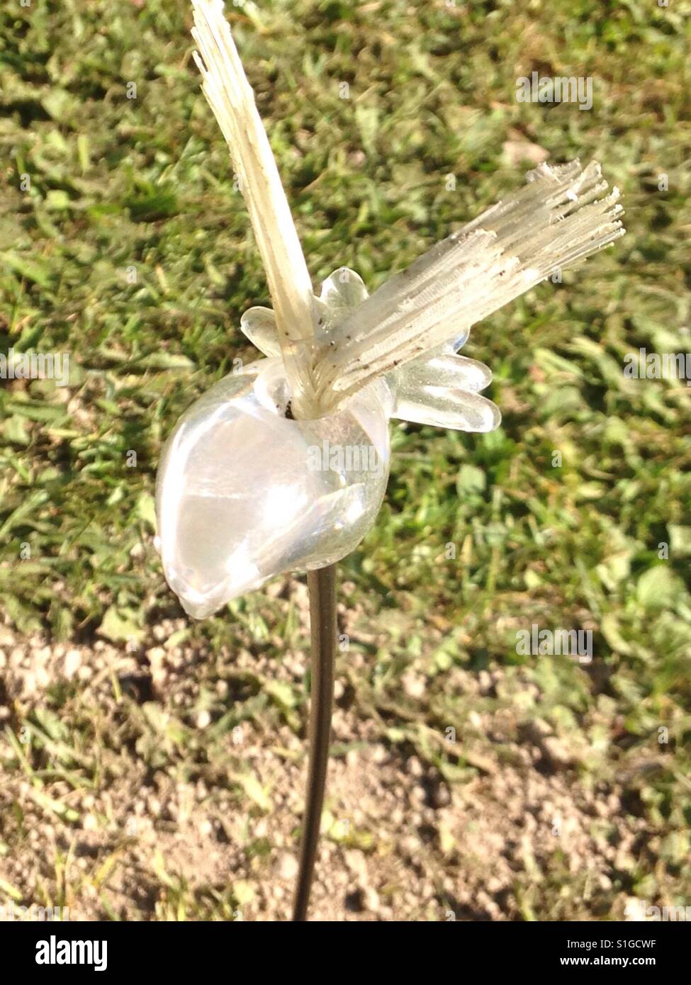 Glass bird on a stick in a yard Stock Photo