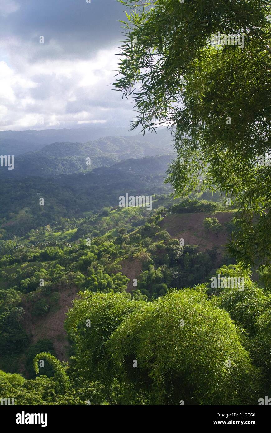 Clarendon jamaica hires stock photography and images Alamy