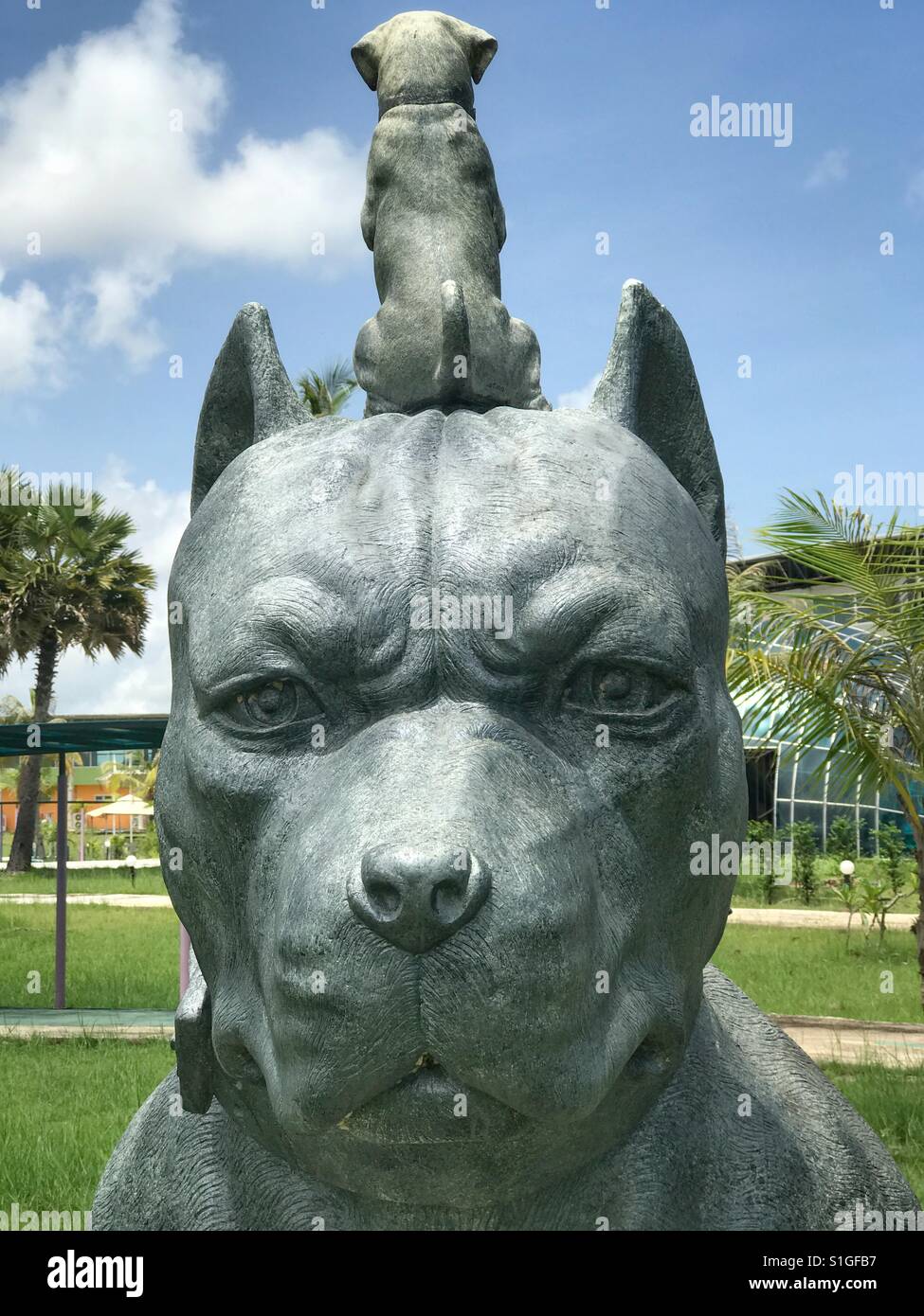 Pit bull and friend. statue of dogs Stock Photo Alamy