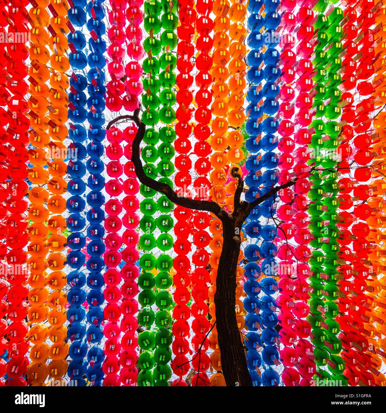 Display of colourful paper lanterns to celebrate Buddha’s birthday at Jogyesa Temple, Seoul, South Korea - Smartphone Captured Stock Image