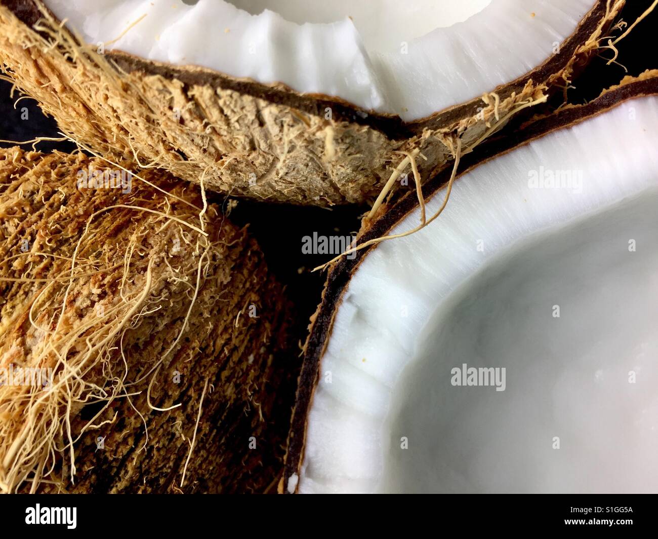 Coconut - Smartphone Captured Stock Image