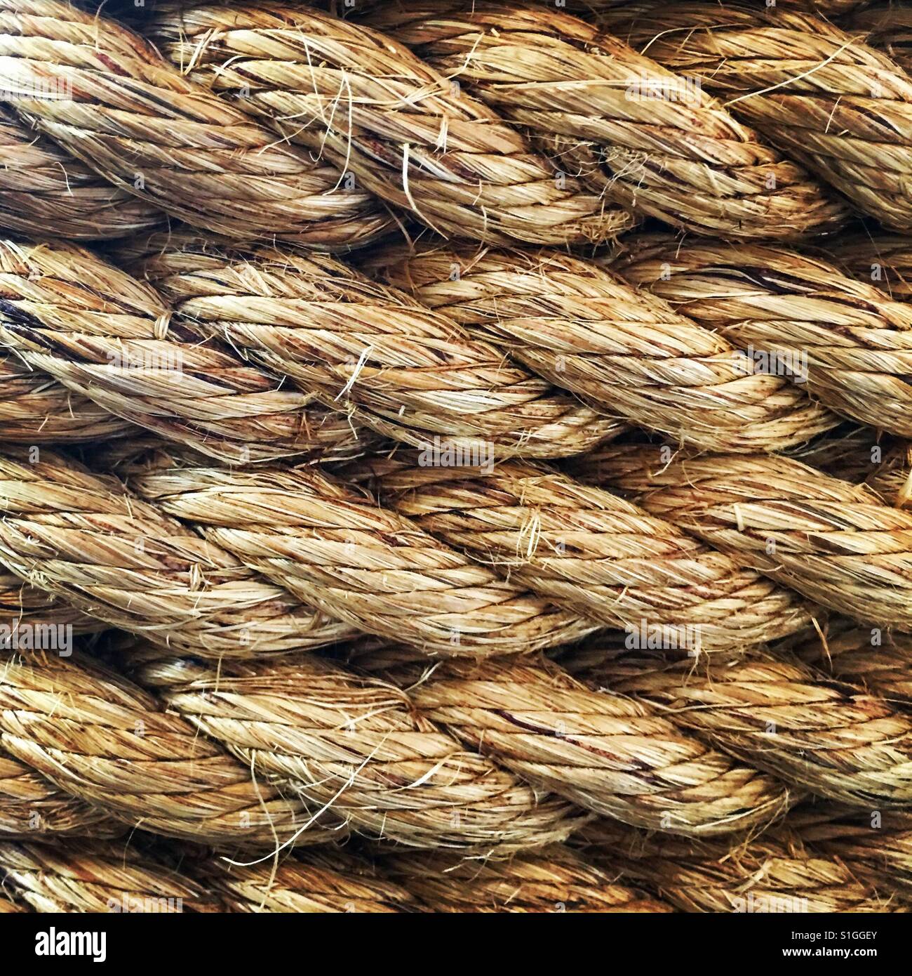 Close-up of coiled rope. - Smartphone Captured Stock Image