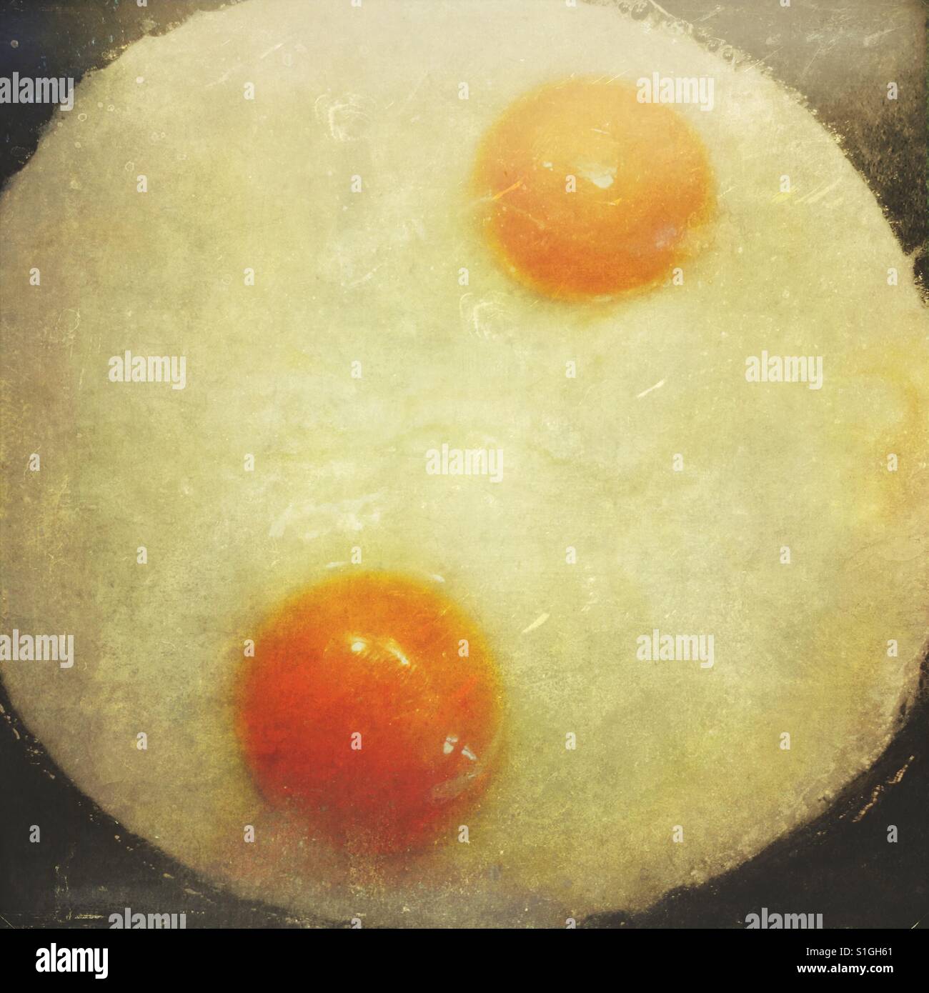 Frying eggs in butter Stock Photo Alamy