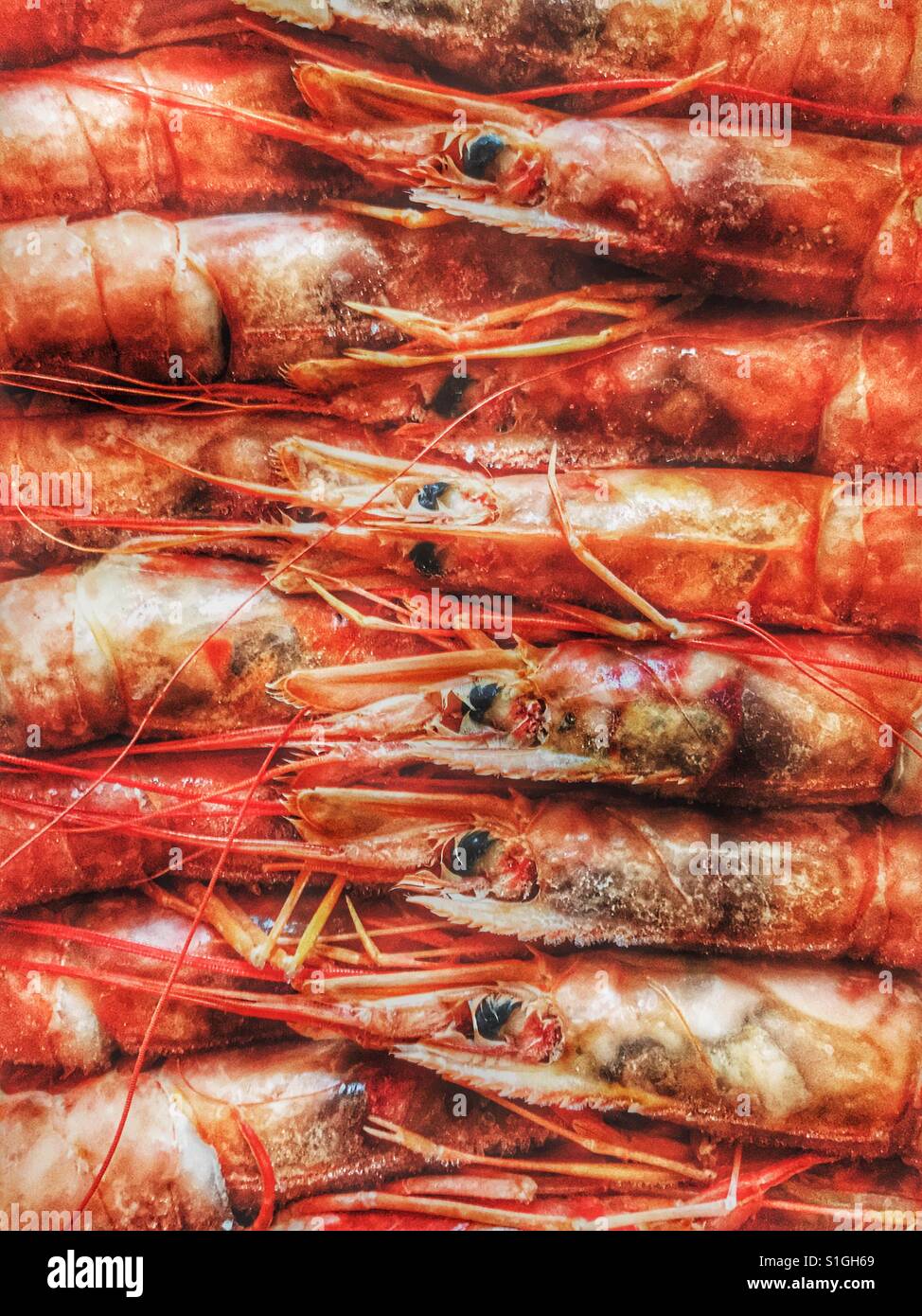 Prawns - Smartphone Captured Stock Image