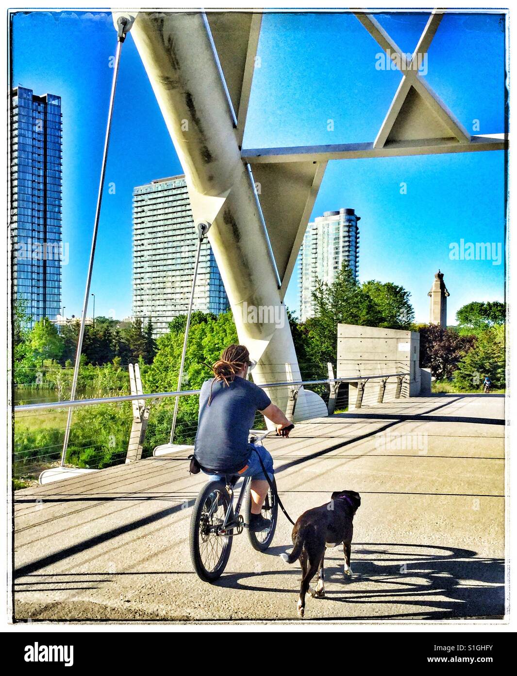 Man on bicycle riding across a bridge with his dog by his side. - Smartphone Captured Stock Image