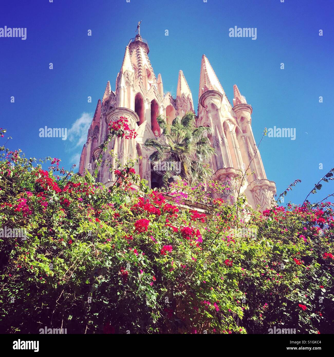 San Miguel de Allende - Smartphone Captured Stock Image